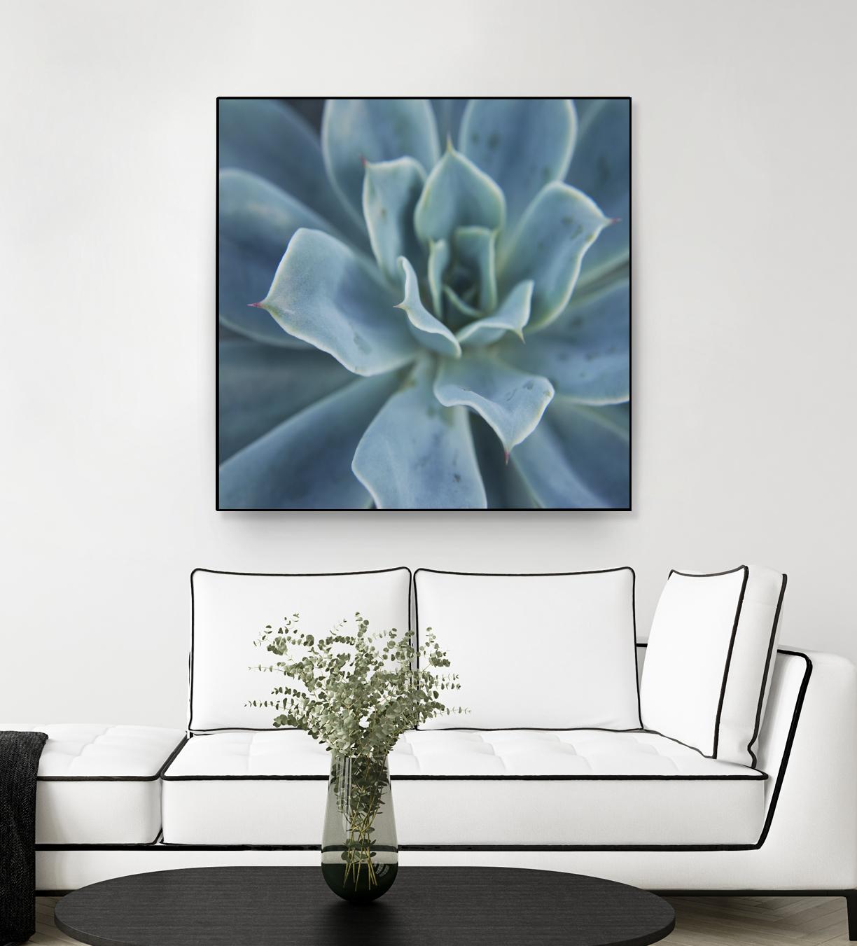 Sweet Succulent by Karen Ussery on GIANT ART - blue botany