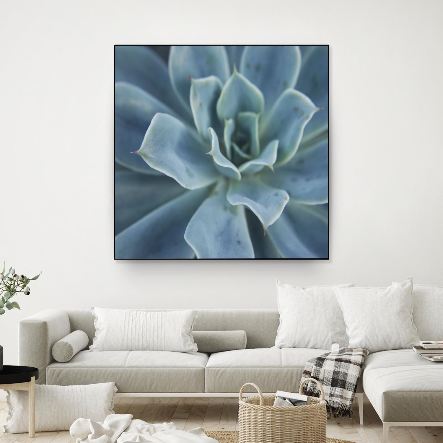 Sweet Succulent by Karen Ussery on GIANT ART - blue botany
