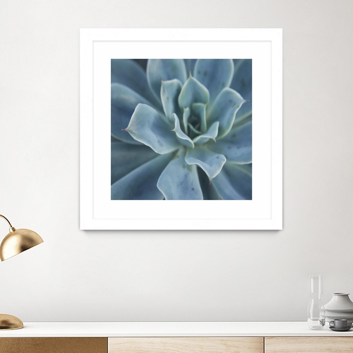 Sweet Succulent by Karen Ussery on GIANT ART - blue botany