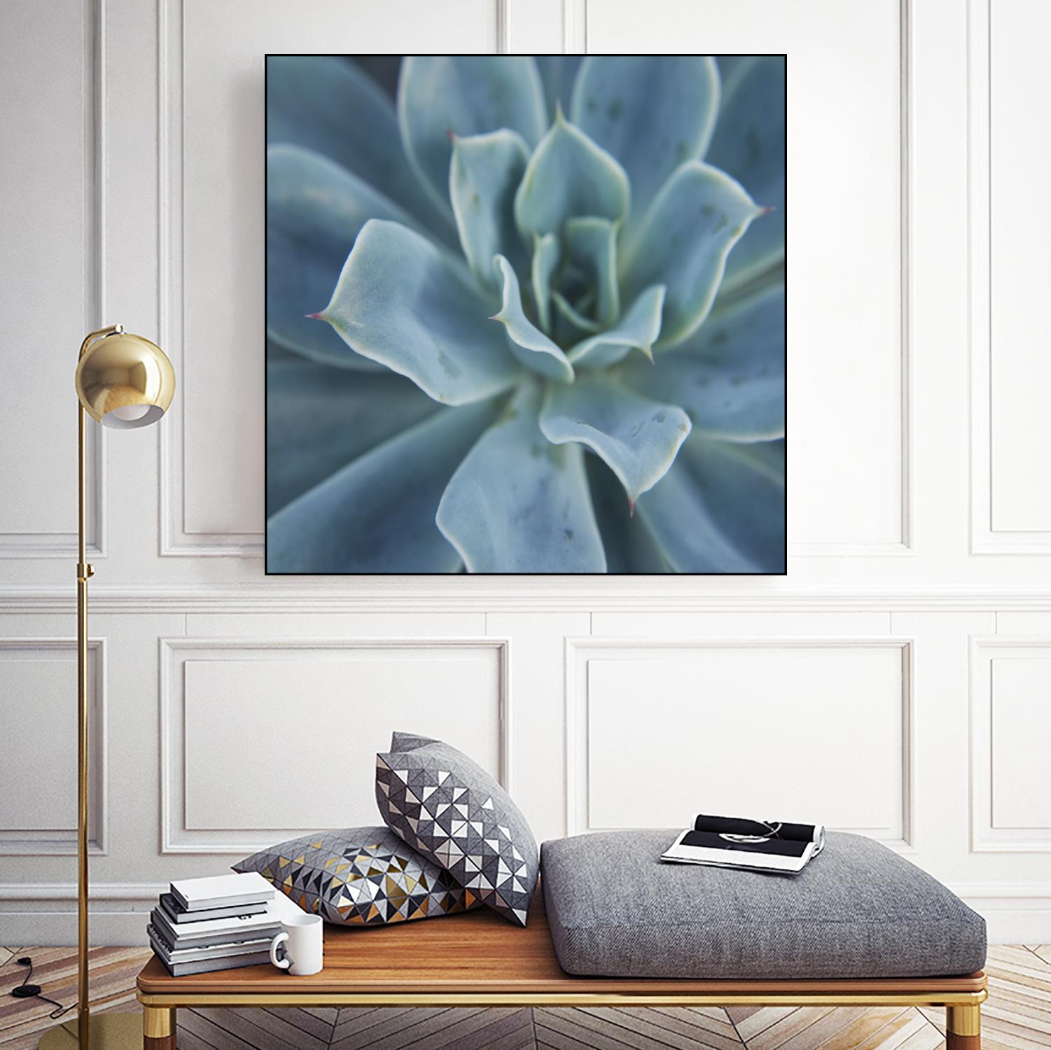 Sweet Succulent by Karen Ussery on GIANT ART - blue botany