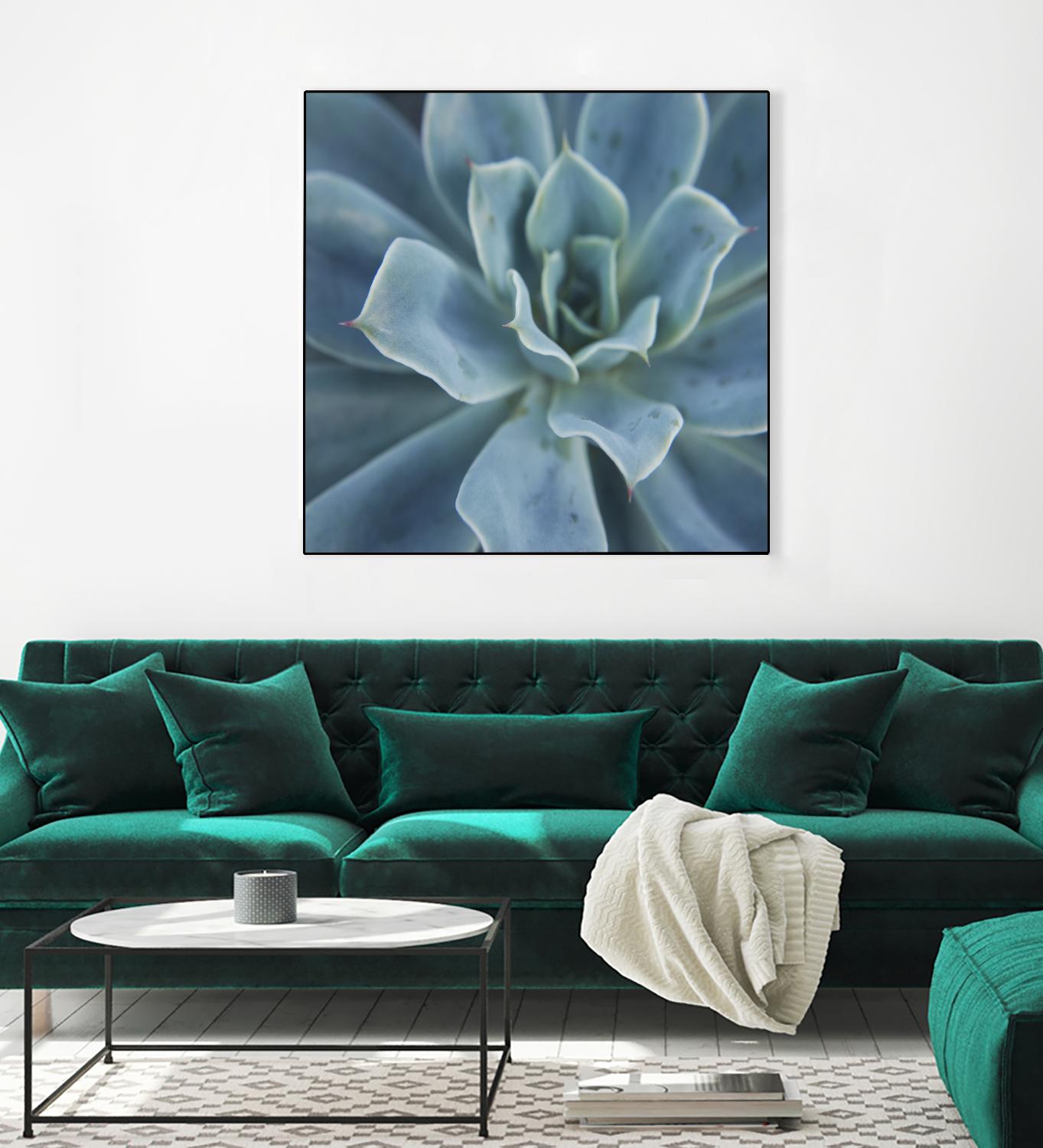 Sweet Succulent by Karen Ussery on GIANT ART - blue botany