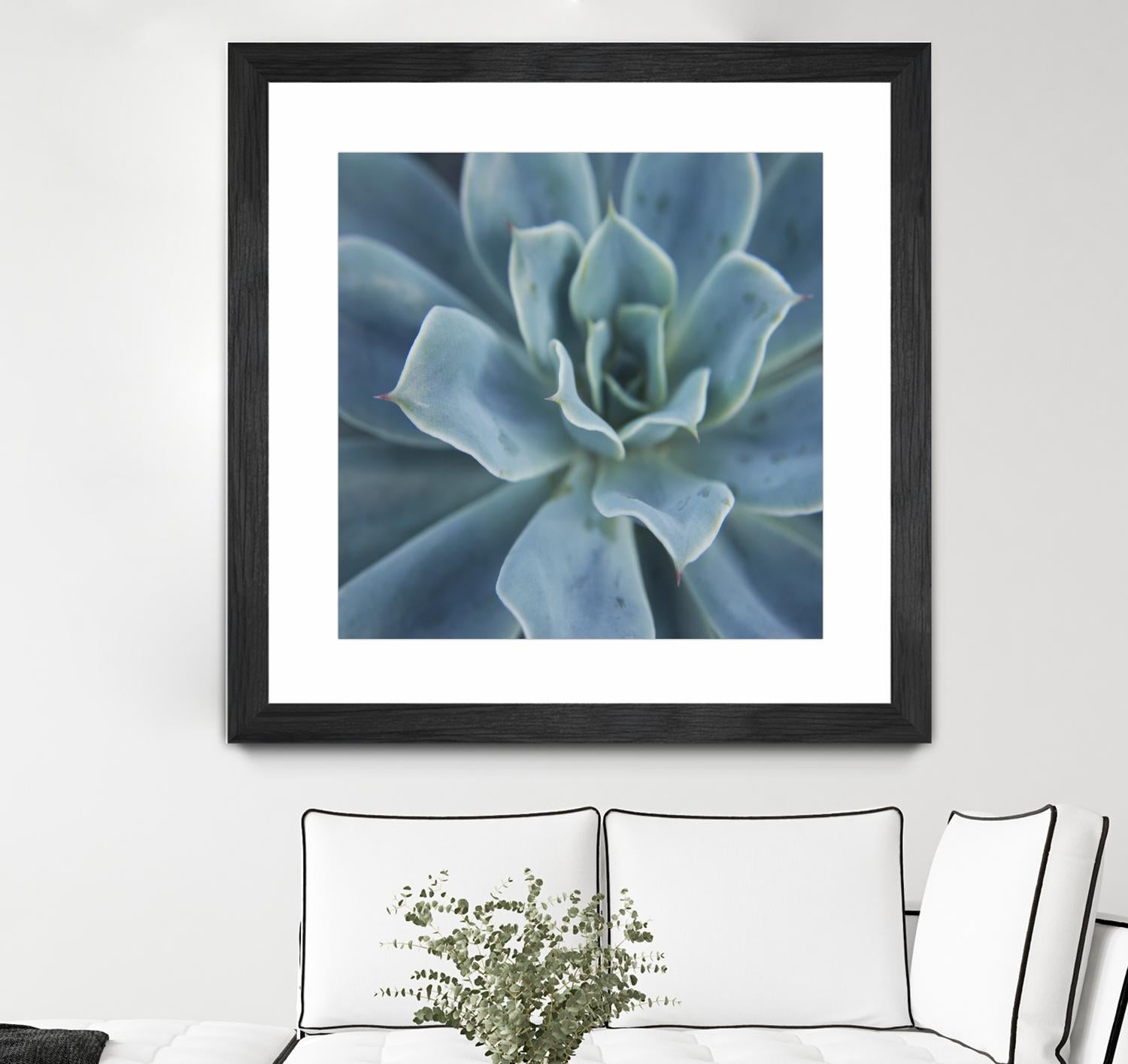 Sweet Succulent by Karen Ussery on GIANT ART - blue botany