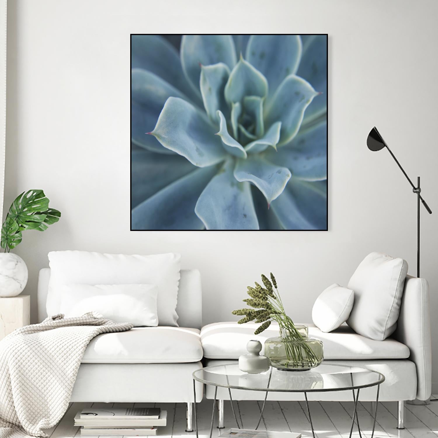 Sweet Succulent by Karen Ussery on GIANT ART - blue botany