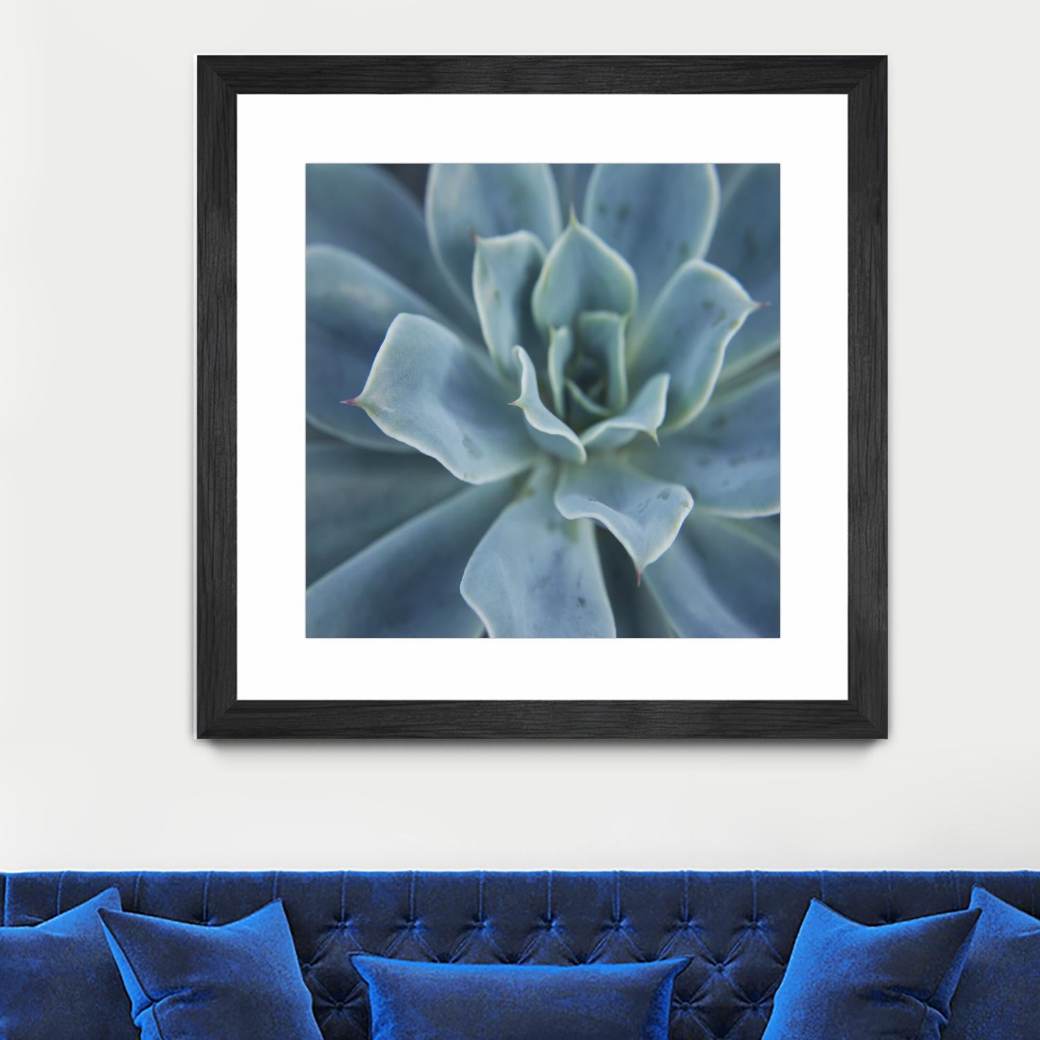 Sweet Succulent by Karen Ussery on GIANT ART - blue botany