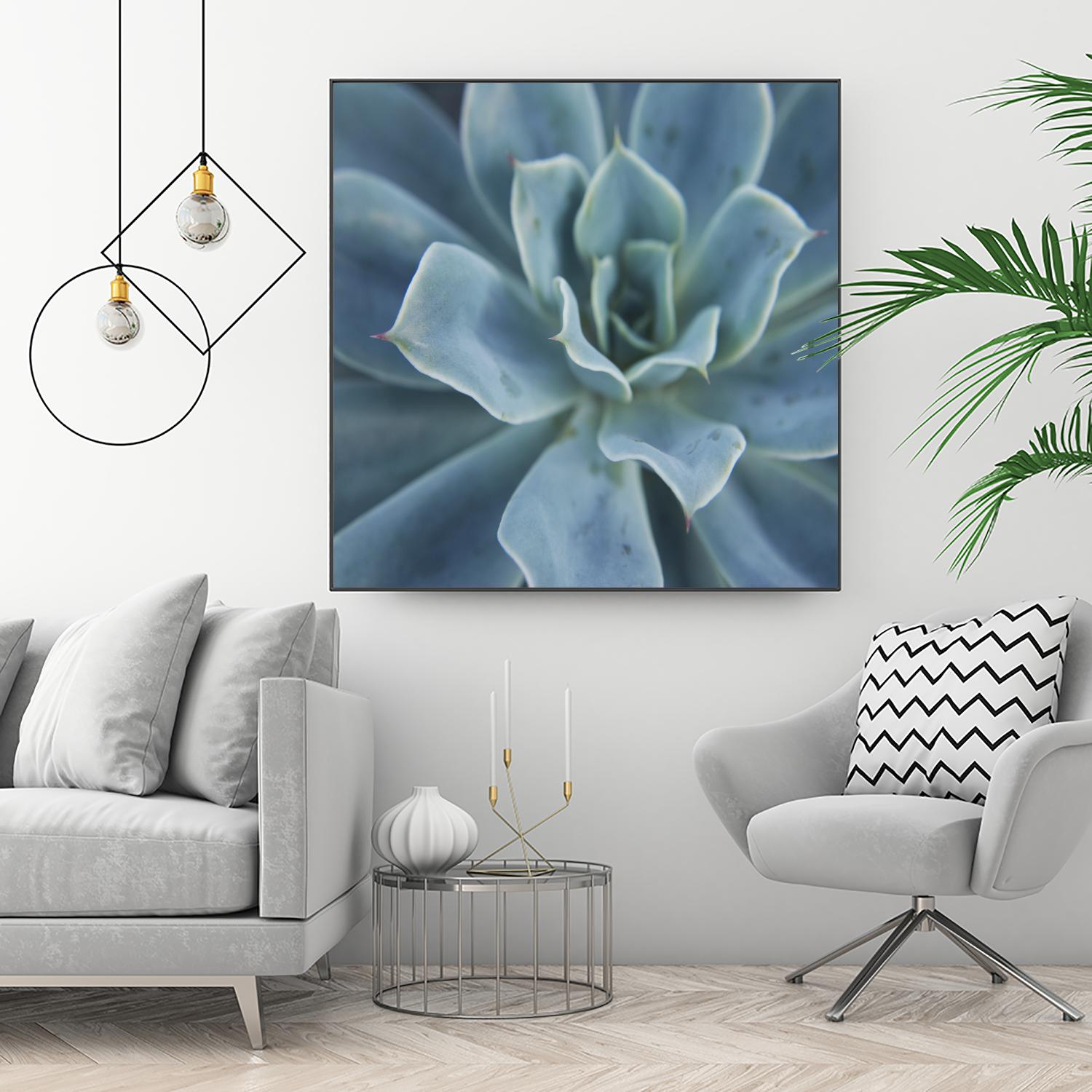 Sweet Succulent by Karen Ussery on GIANT ART - blue botany