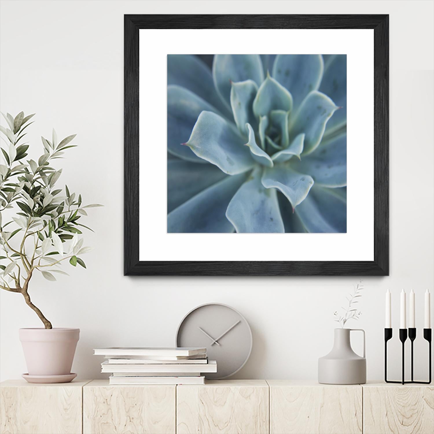 Sweet Succulent by Karen Ussery on GIANT ART - blue botany