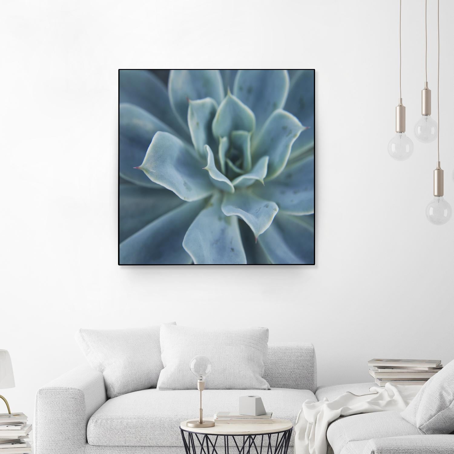 Sweet Succulent by Karen Ussery on GIANT ART - blue botany