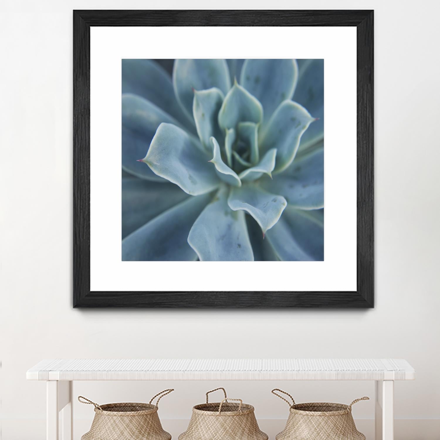 Sweet Succulent by Karen Ussery on GIANT ART - blue botany