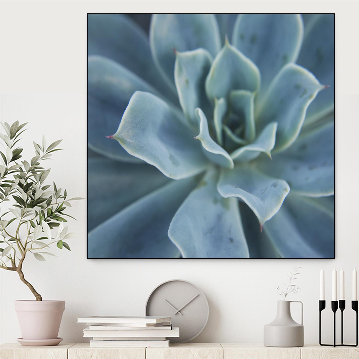 Sweet Succulent by Karen Ussery on GIANT ART - blue botany