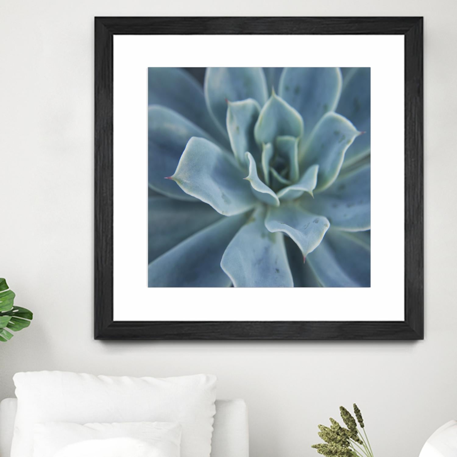 Sweet Succulent by Karen Ussery on GIANT ART - blue botany