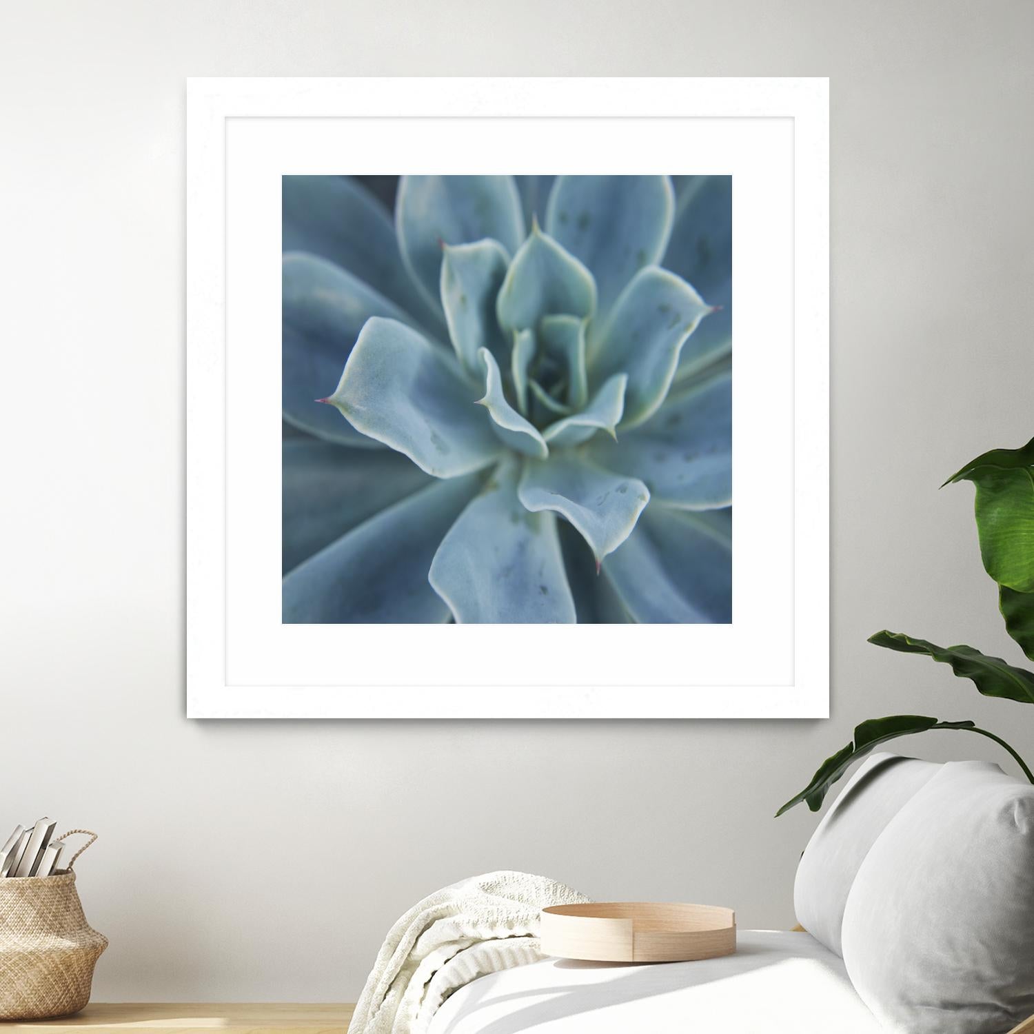 Sweet Succulent by Karen Ussery on GIANT ART - blue botany