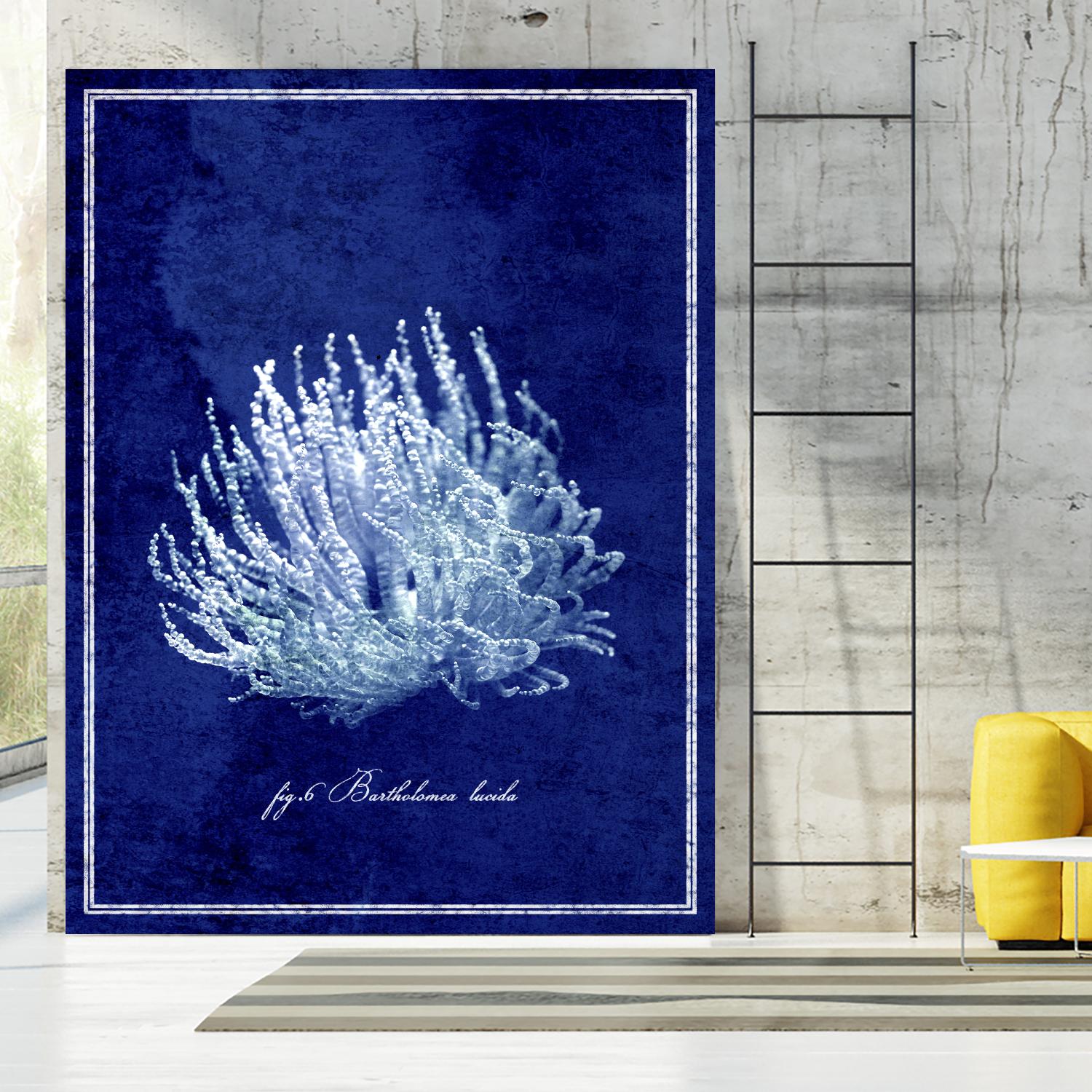 Marine Collection C by GI ArtLab on GIANT ART - blue nautical