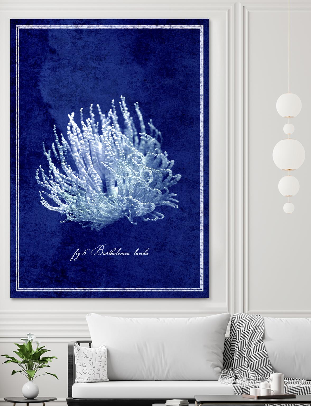 Marine Collection C by GI ArtLab on GIANT ART - blue nautical
