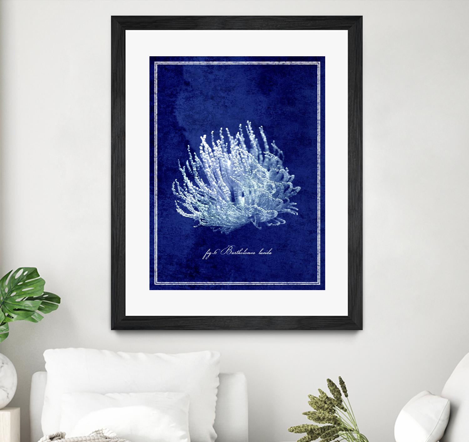 Marine Collection C by GI ArtLab on GIANT ART - blue nautical