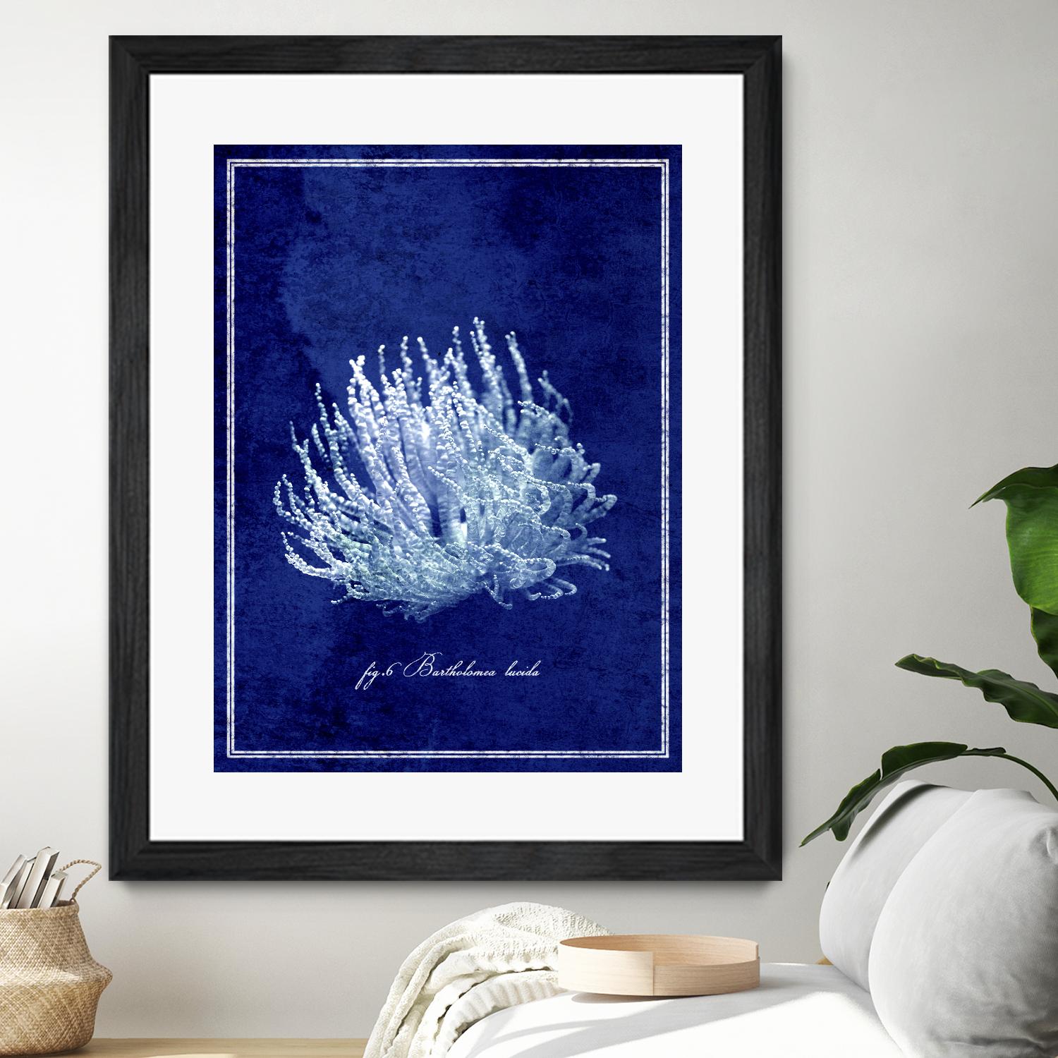 Marine Collection C by GI ArtLab on GIANT ART - blue nautical