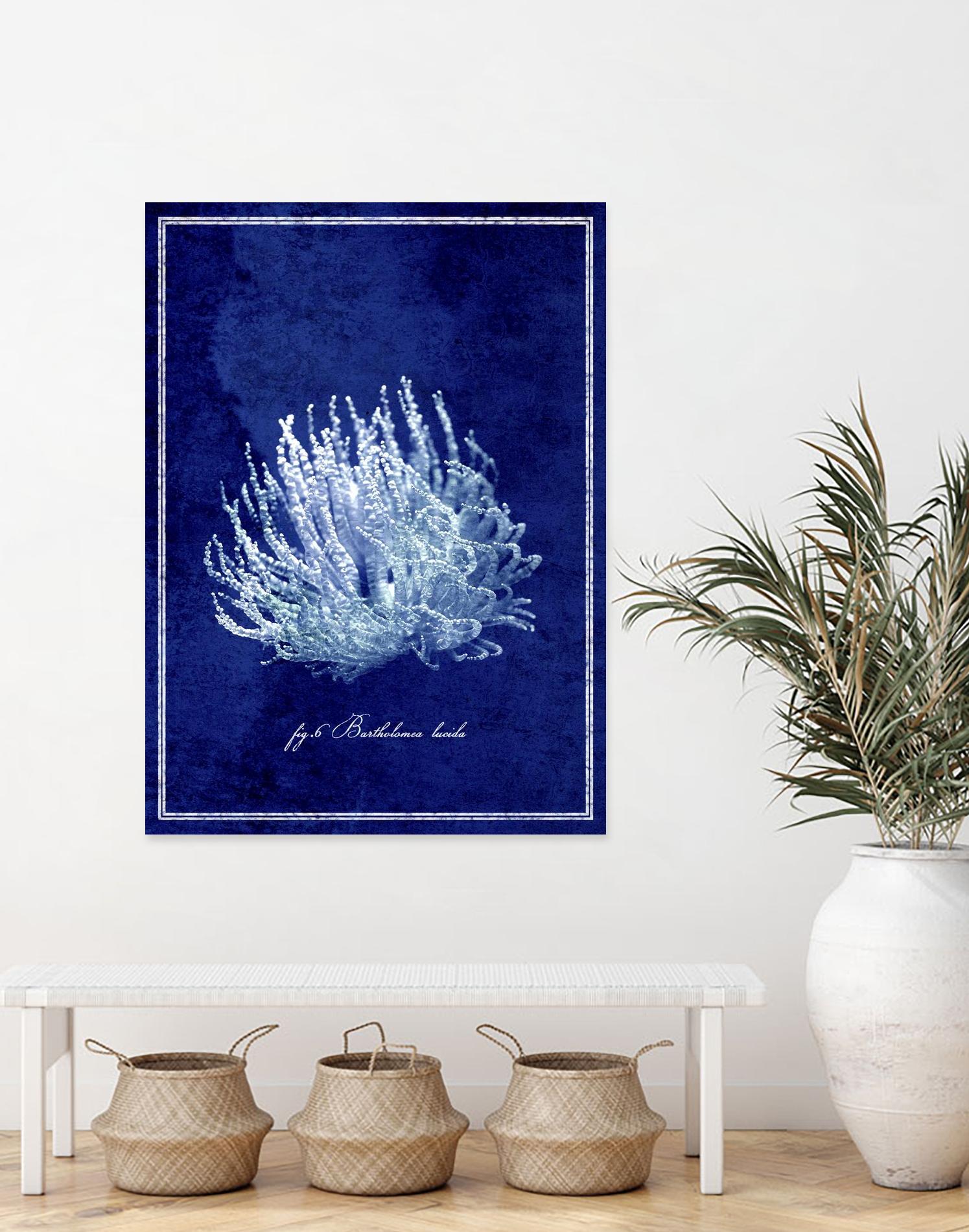 Marine Collection C by GI ArtLab on GIANT ART - blue nautical