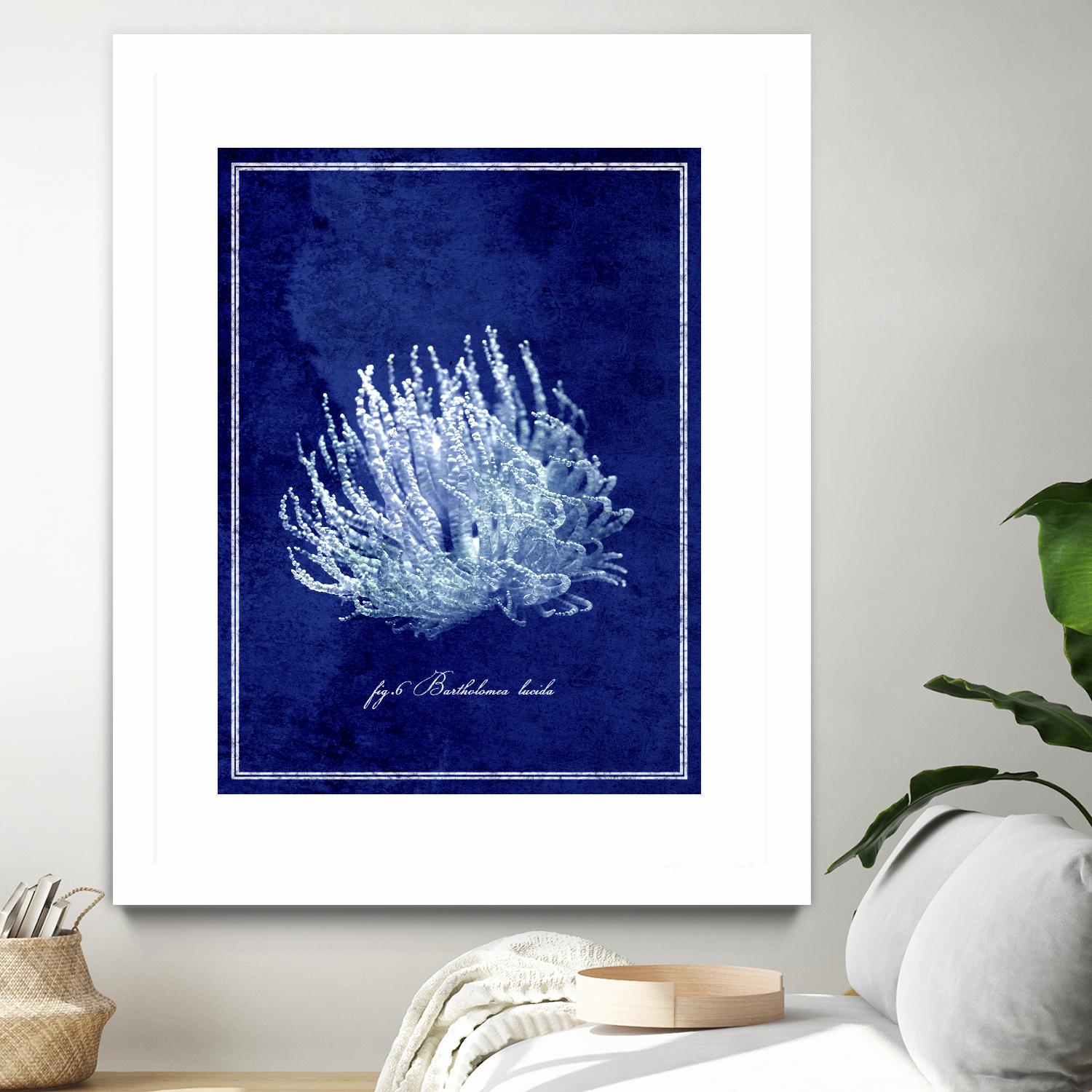Marine Collection C by GI ArtLab on GIANT ART - blue nautical