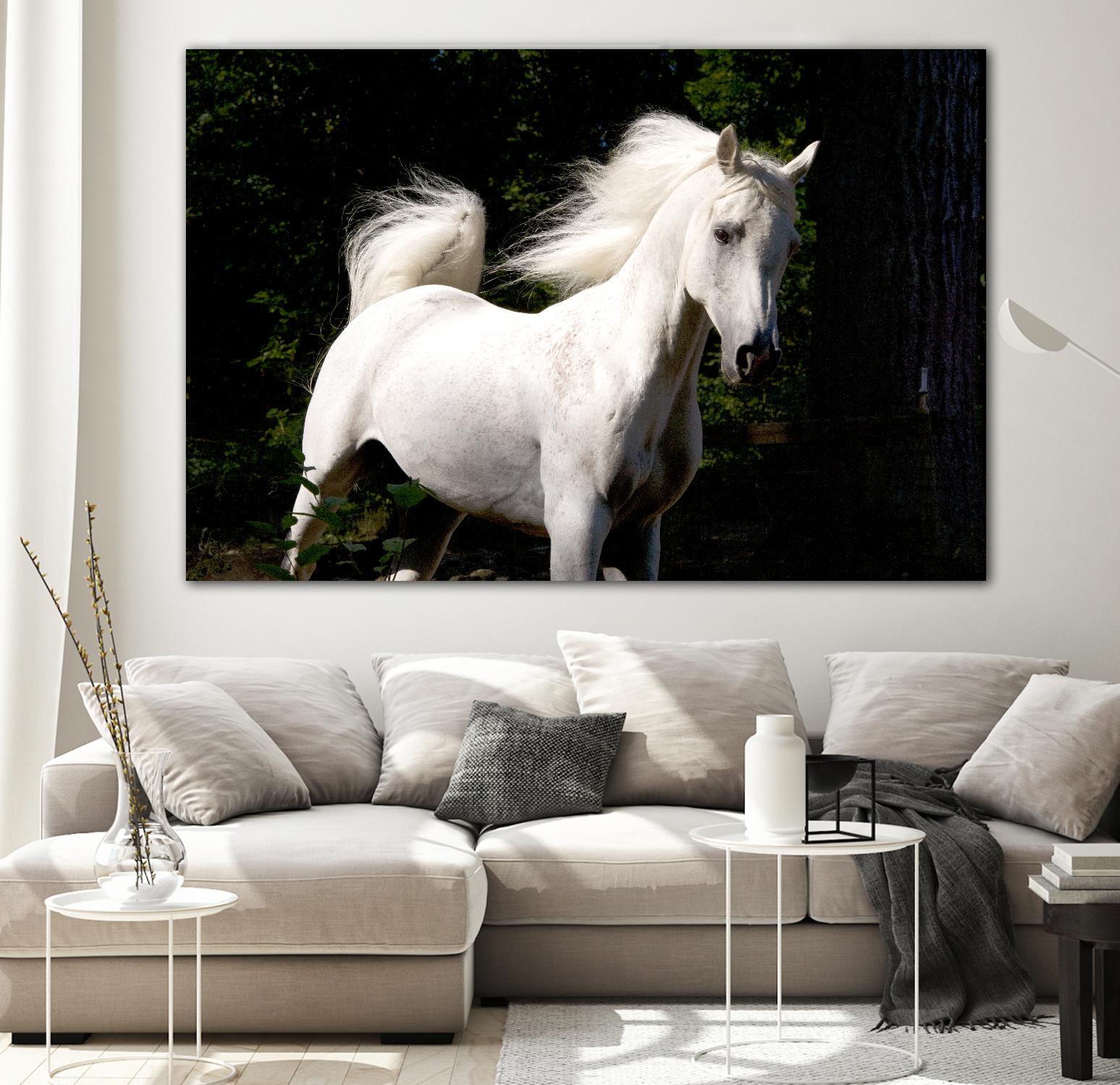 Candle 4 by Patrick Marshall on GIANT ART - black animals