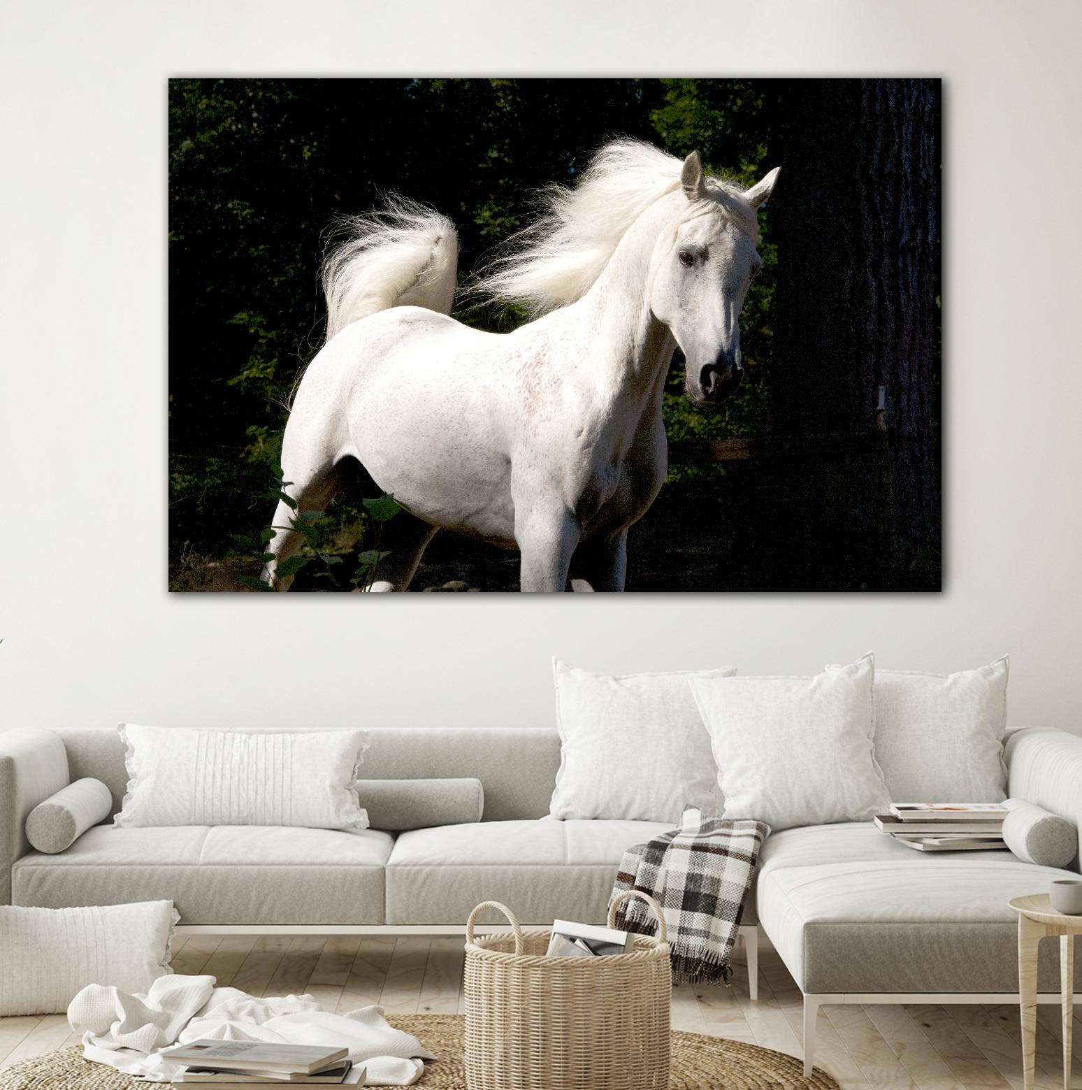 Candle 4 by Patrick Marshall on GIANT ART - black animals