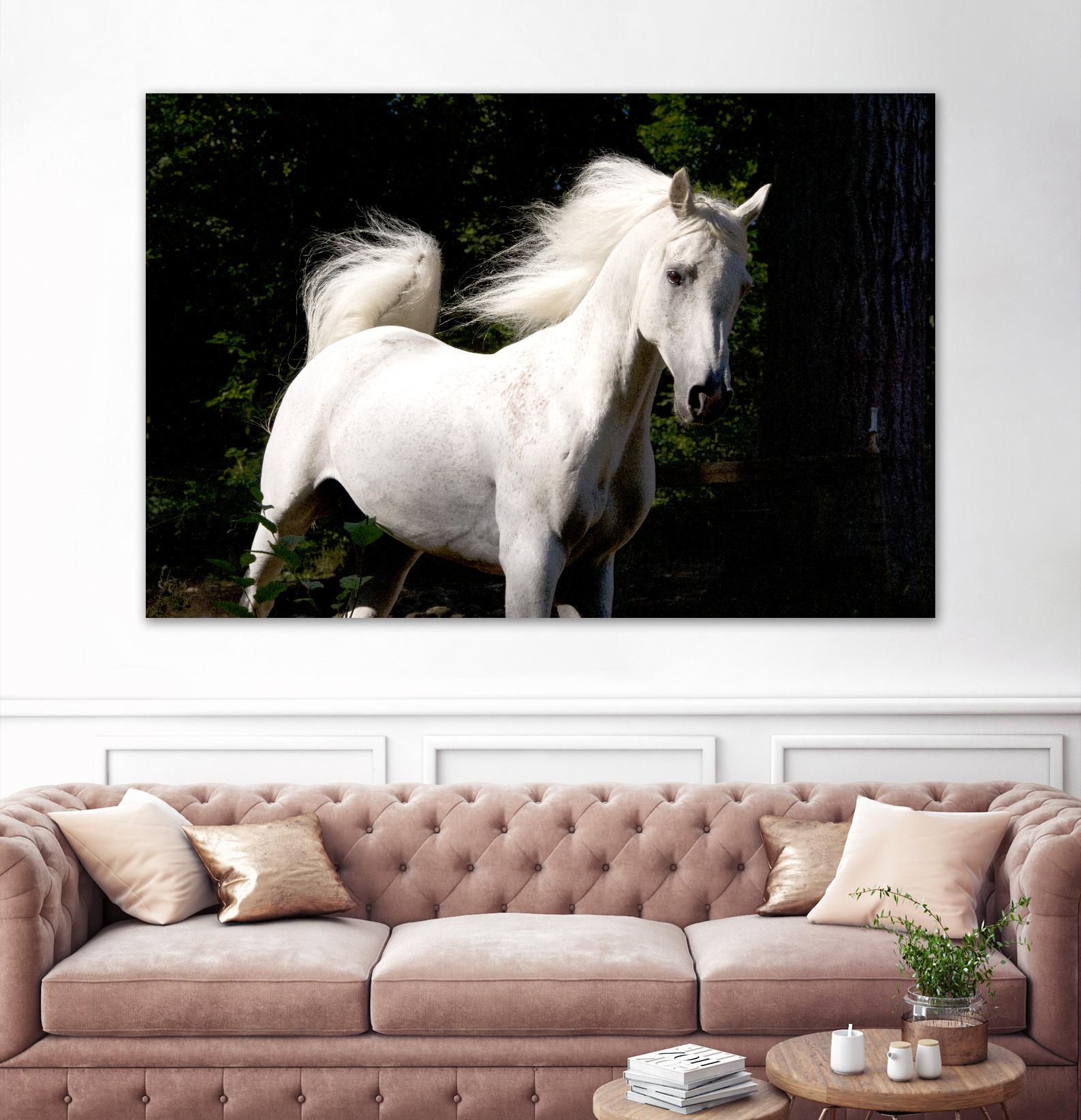 Candle 4 by Patrick Marshall on GIANT ART - black animals