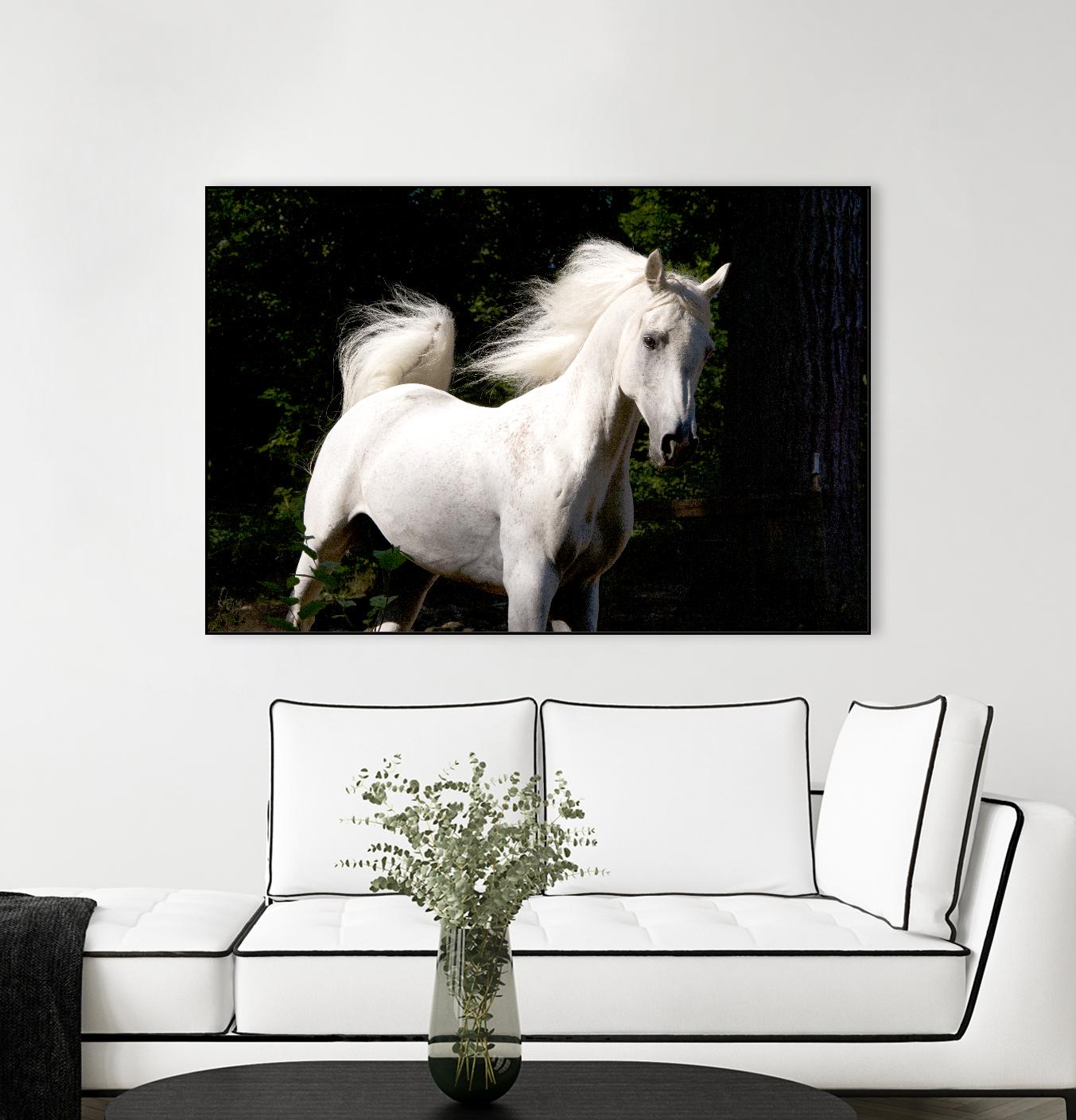 Candle 4 by Patrick Marshall on GIANT ART - black animals