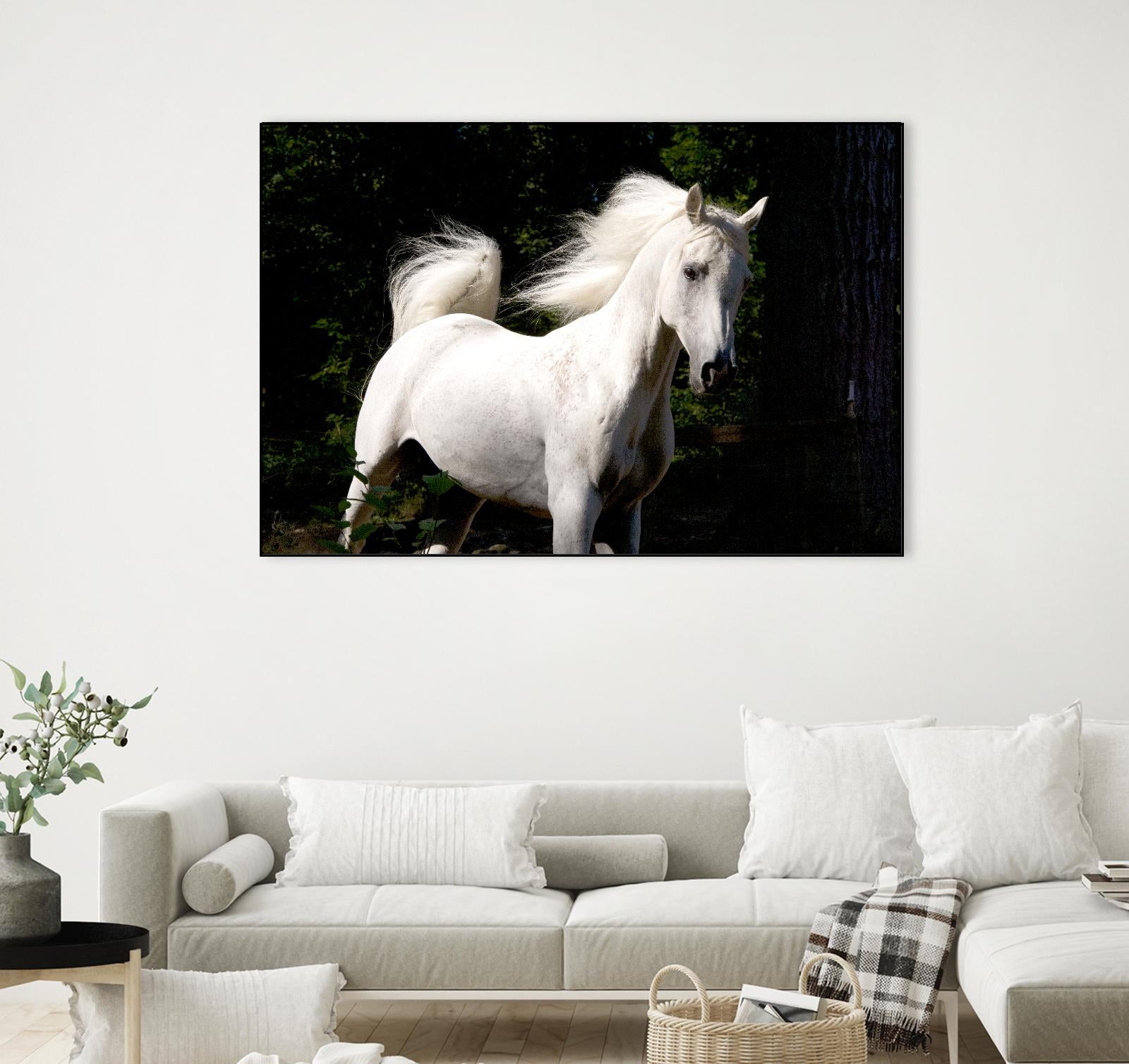 Candle 4 by Patrick Marshall on GIANT ART - black animals