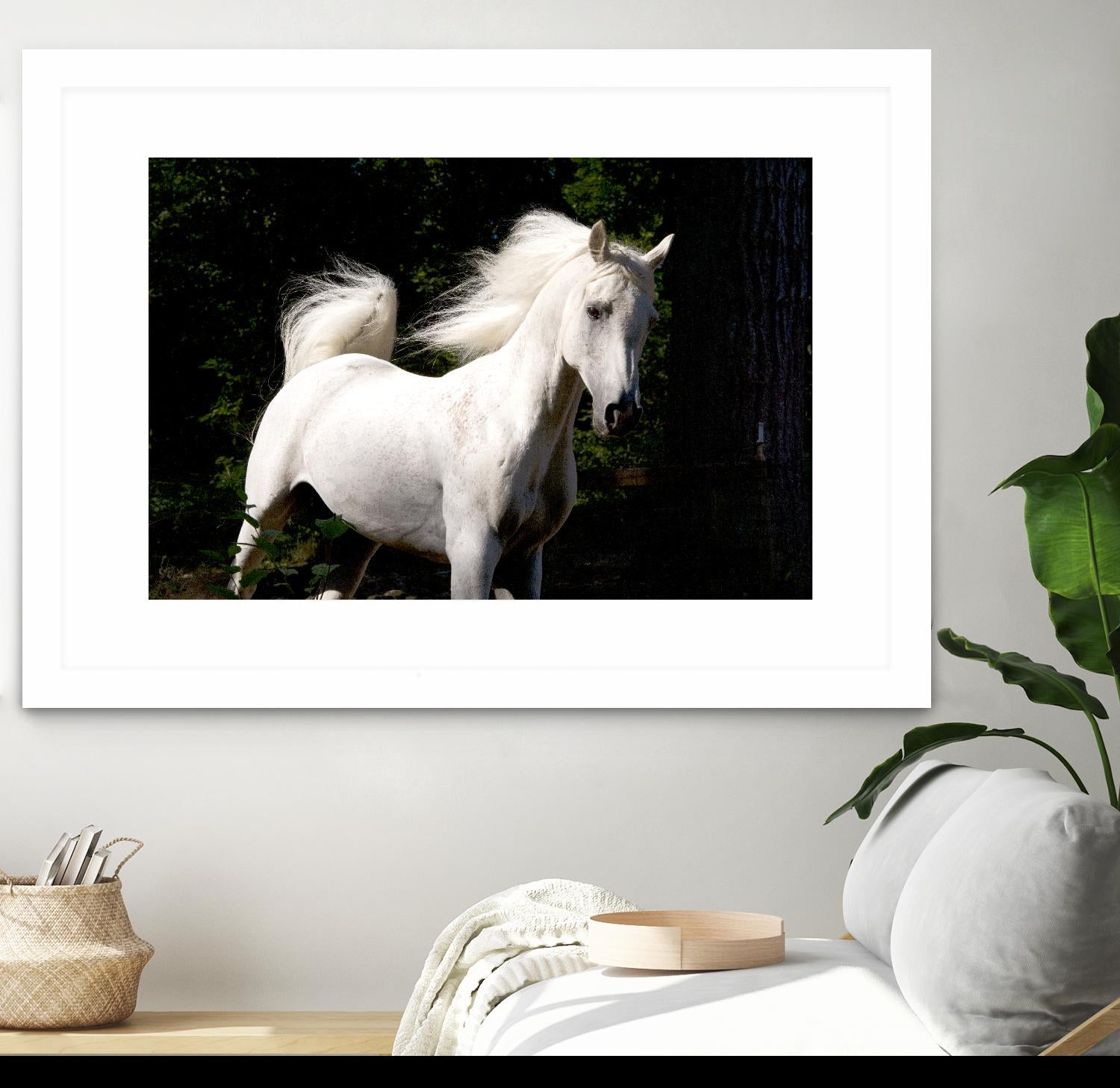 Candle 4 by Patrick Marshall on GIANT ART - black animals