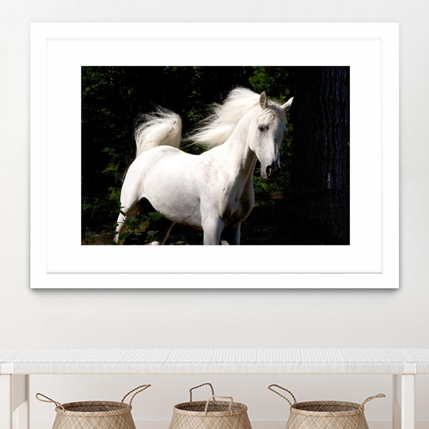 Candle 4 by Patrick Marshall on GIANT ART - black animals