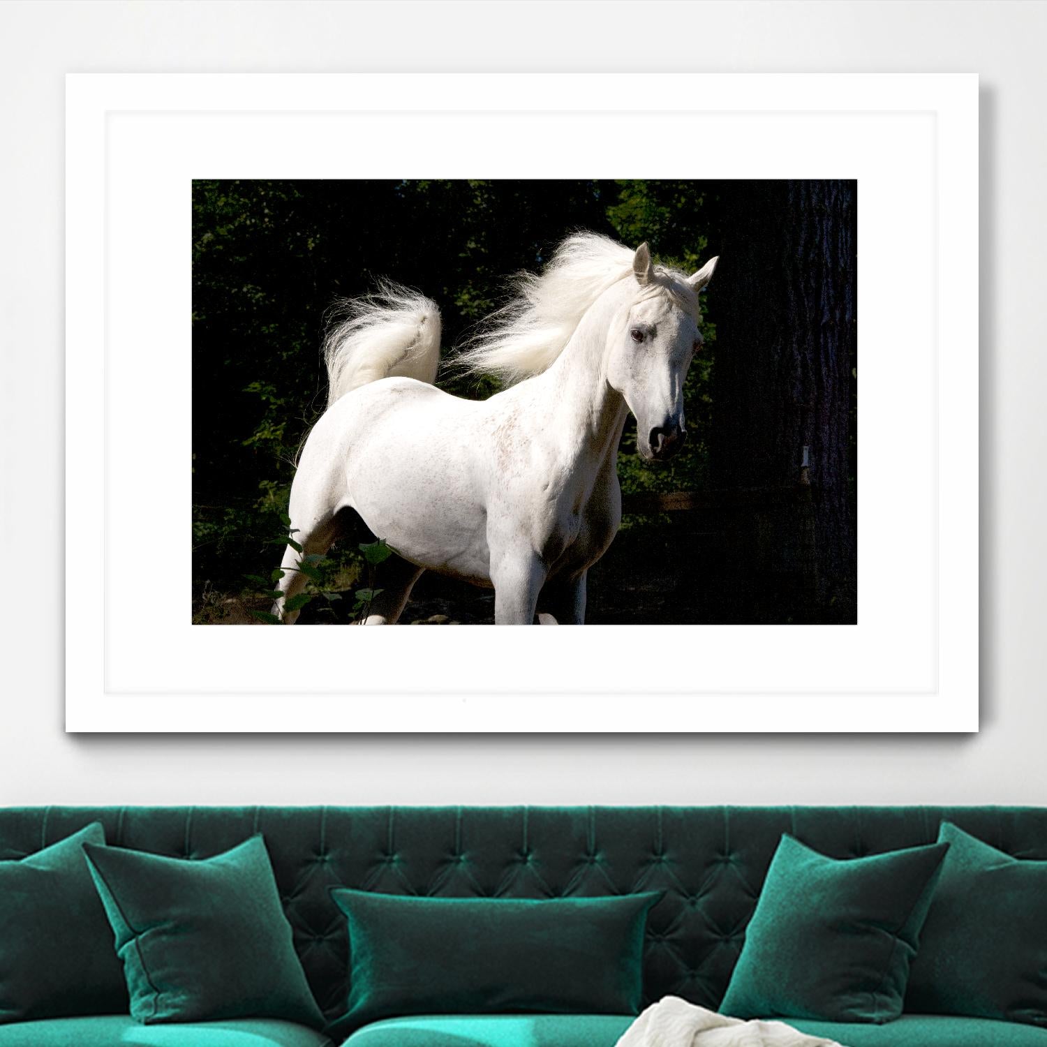 Candle 4 by Patrick Marshall on GIANT ART - black animals