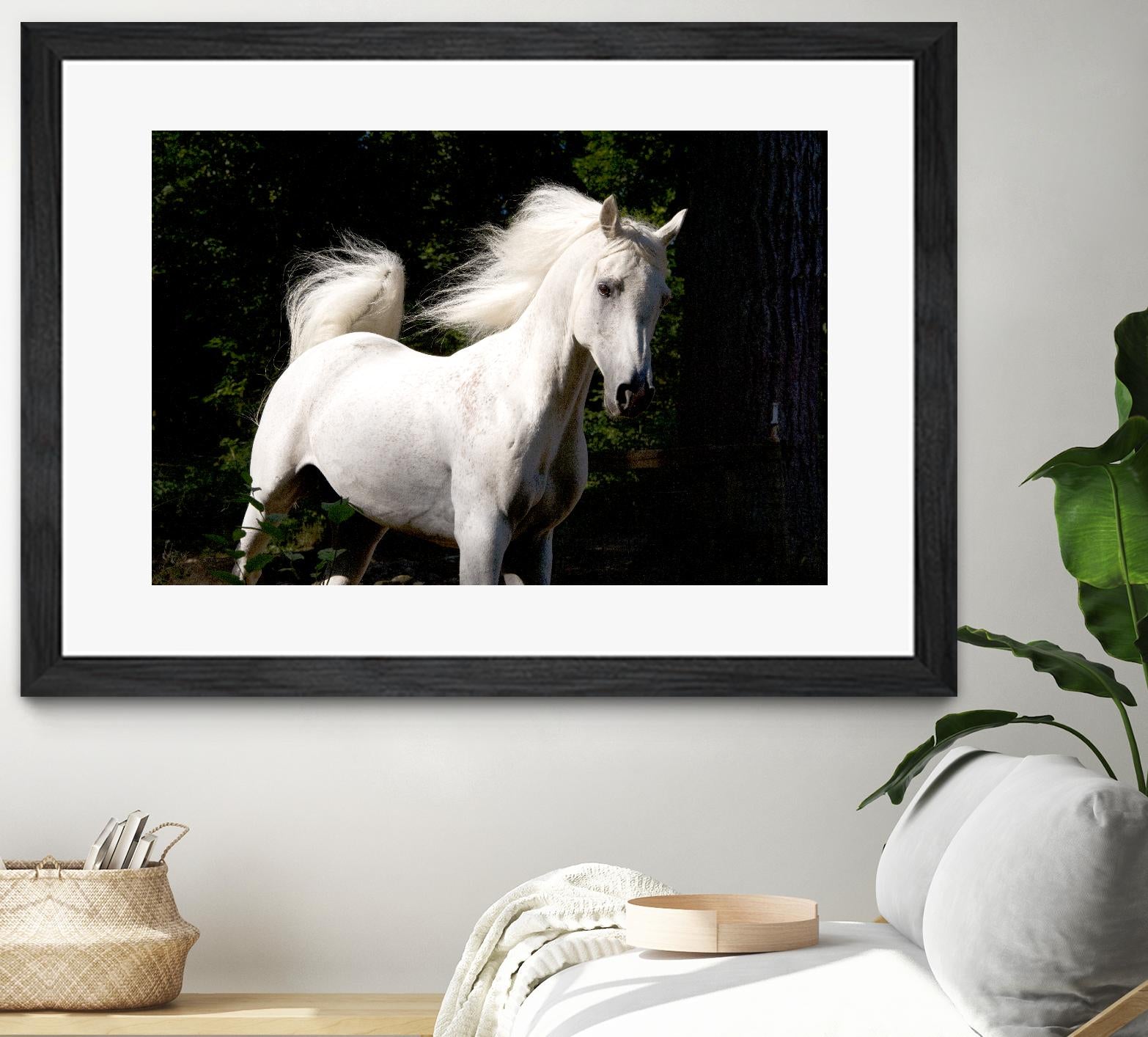 Candle 4 by Patrick Marshall on GIANT ART - black animals