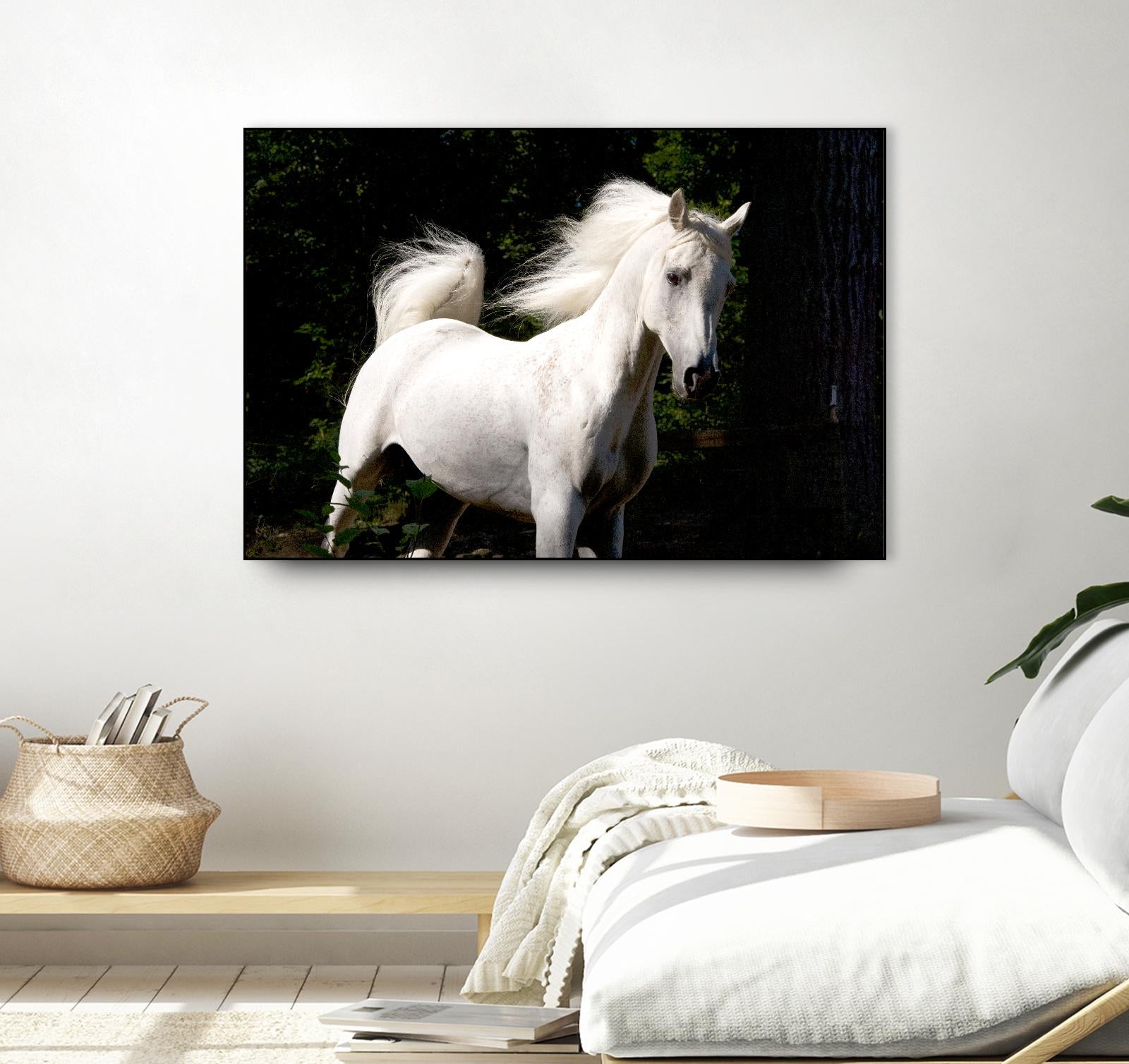 Candle 4 by Patrick Marshall on GIANT ART - black animals