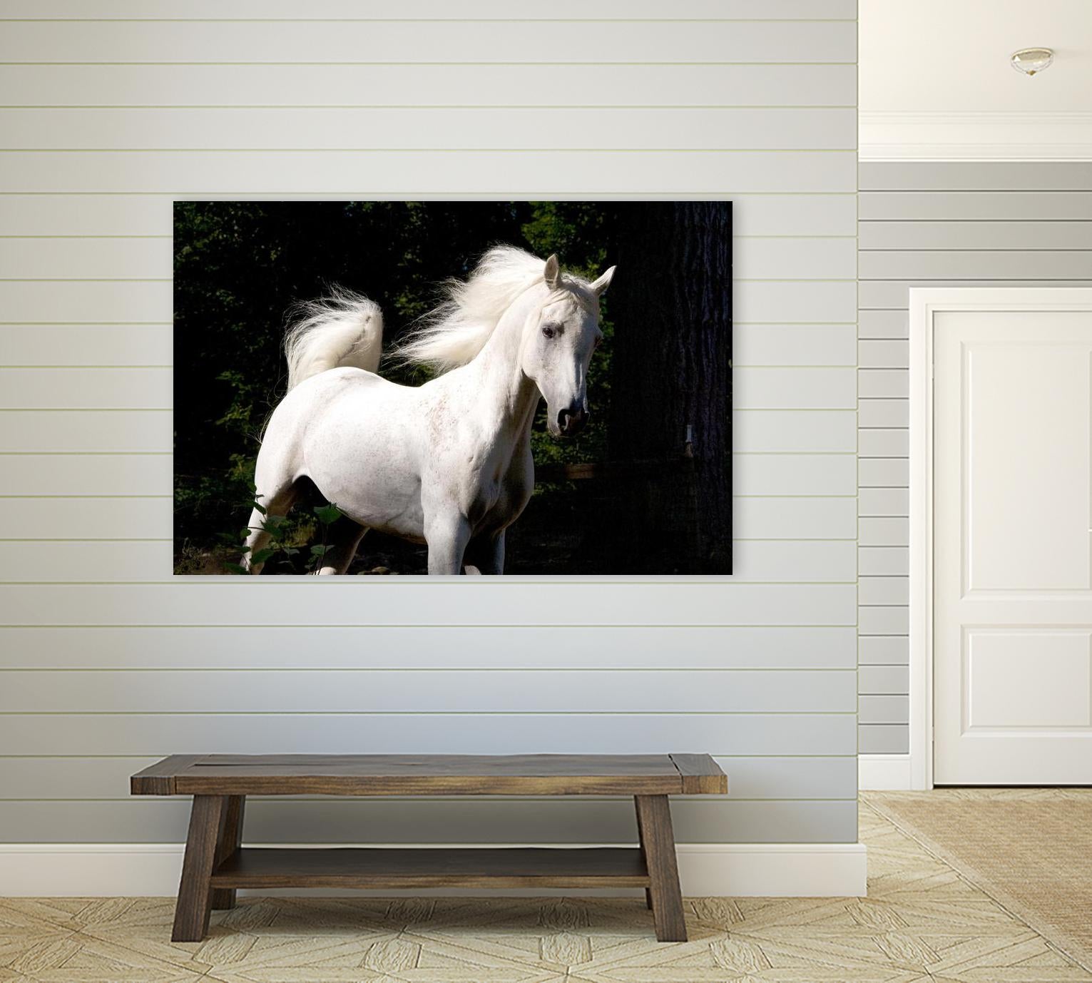 Candle 4 by Patrick Marshall on GIANT ART - black animals