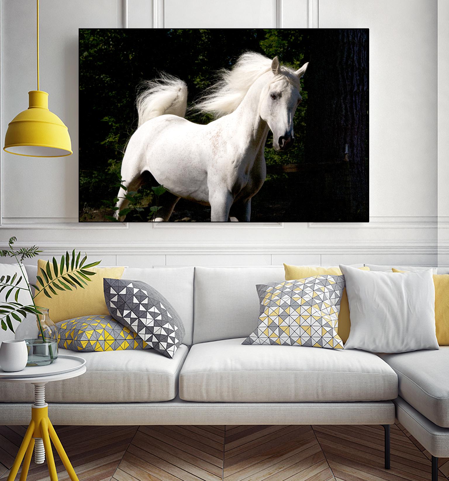 Candle 4 by Patrick Marshall on GIANT ART - black animals