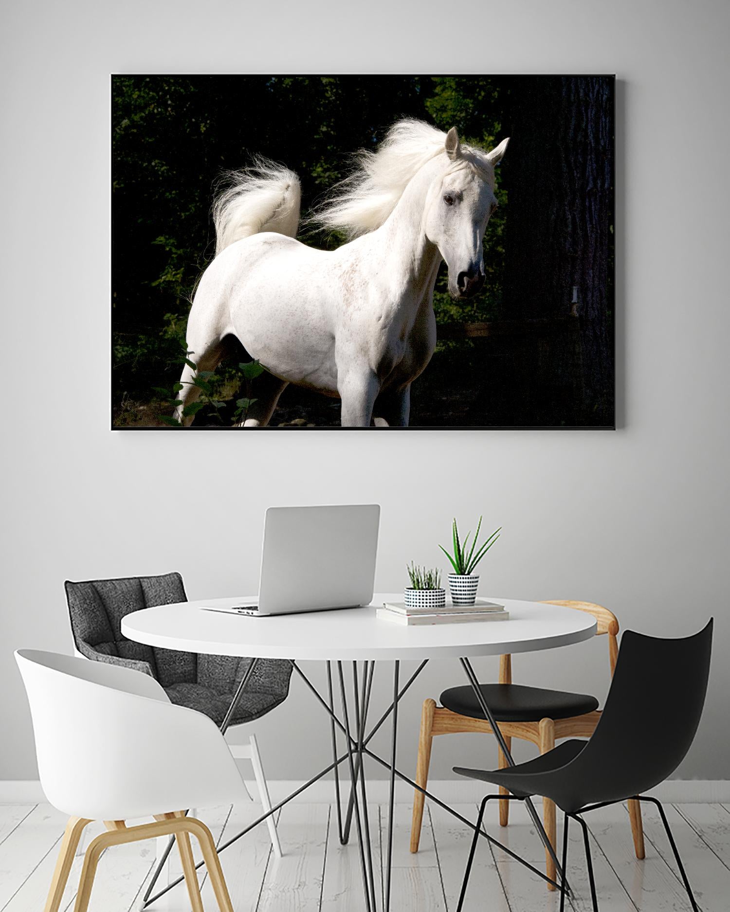 Candle 4 by Patrick Marshall on GIANT ART - black animals