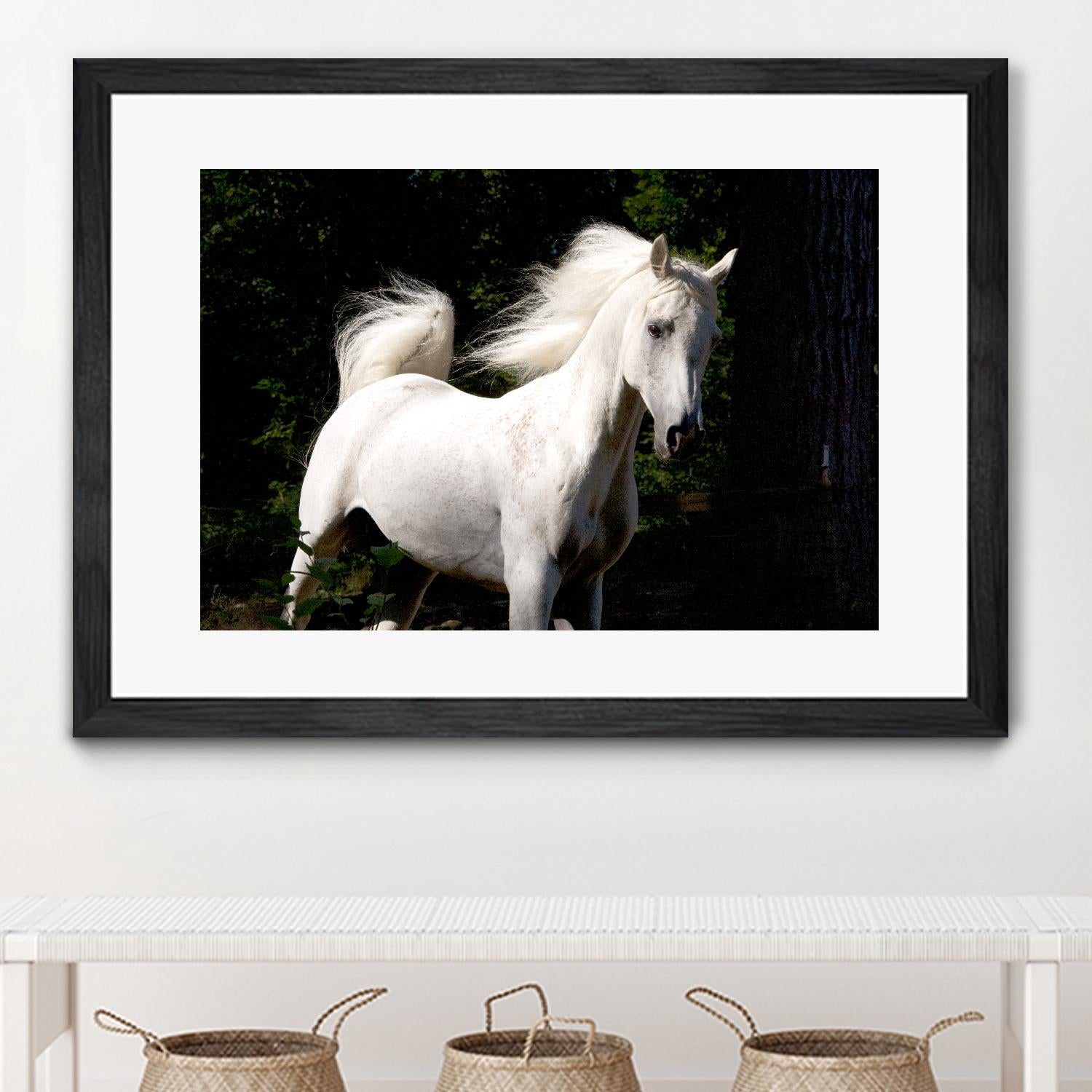 Candle 4 by Patrick Marshall on GIANT ART - black animals