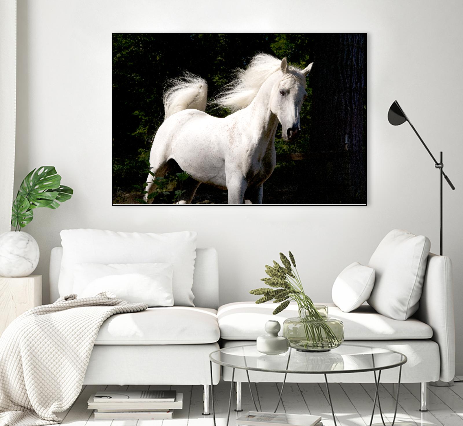 Candle 4 by Patrick Marshall on GIANT ART - black animals