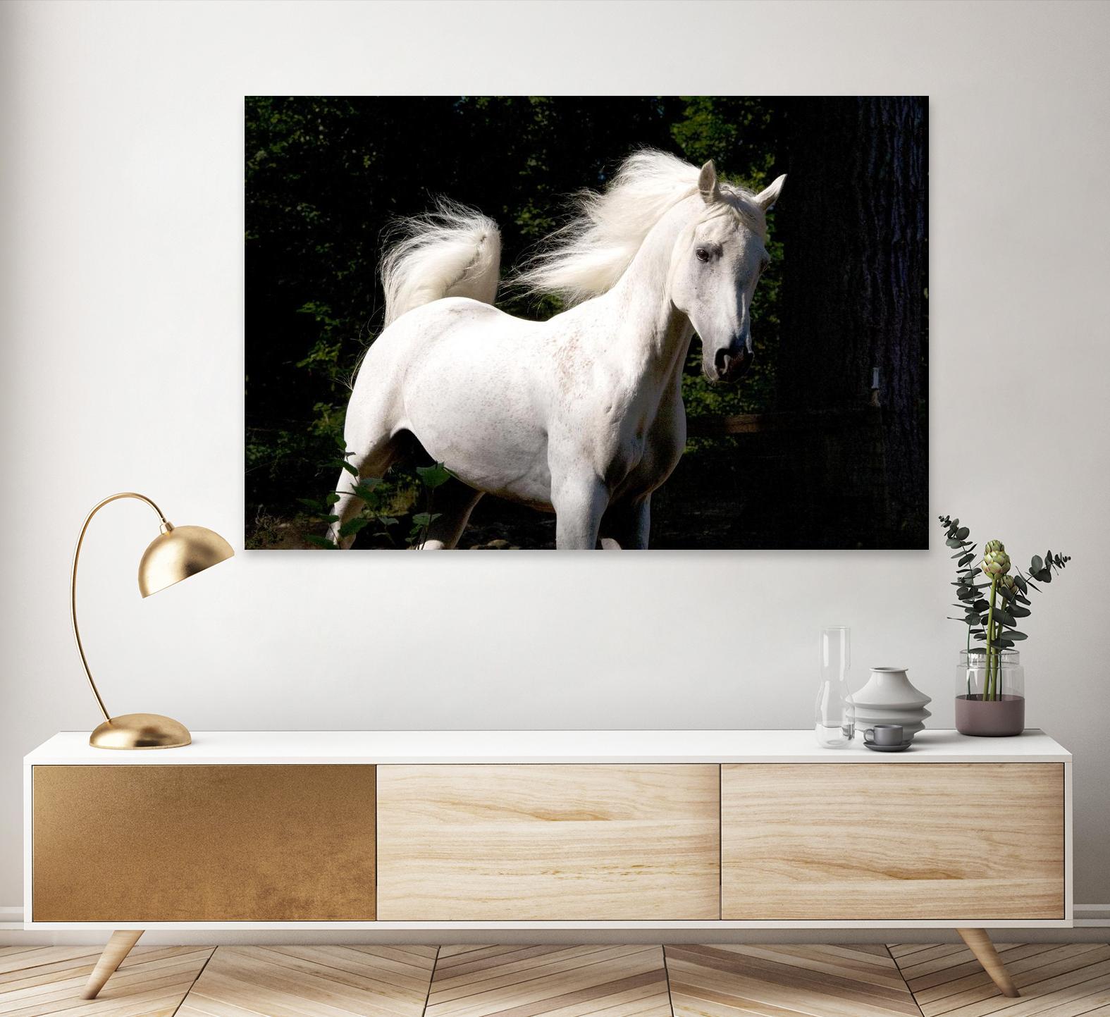 Candle 4 by Patrick Marshall on GIANT ART - black animals