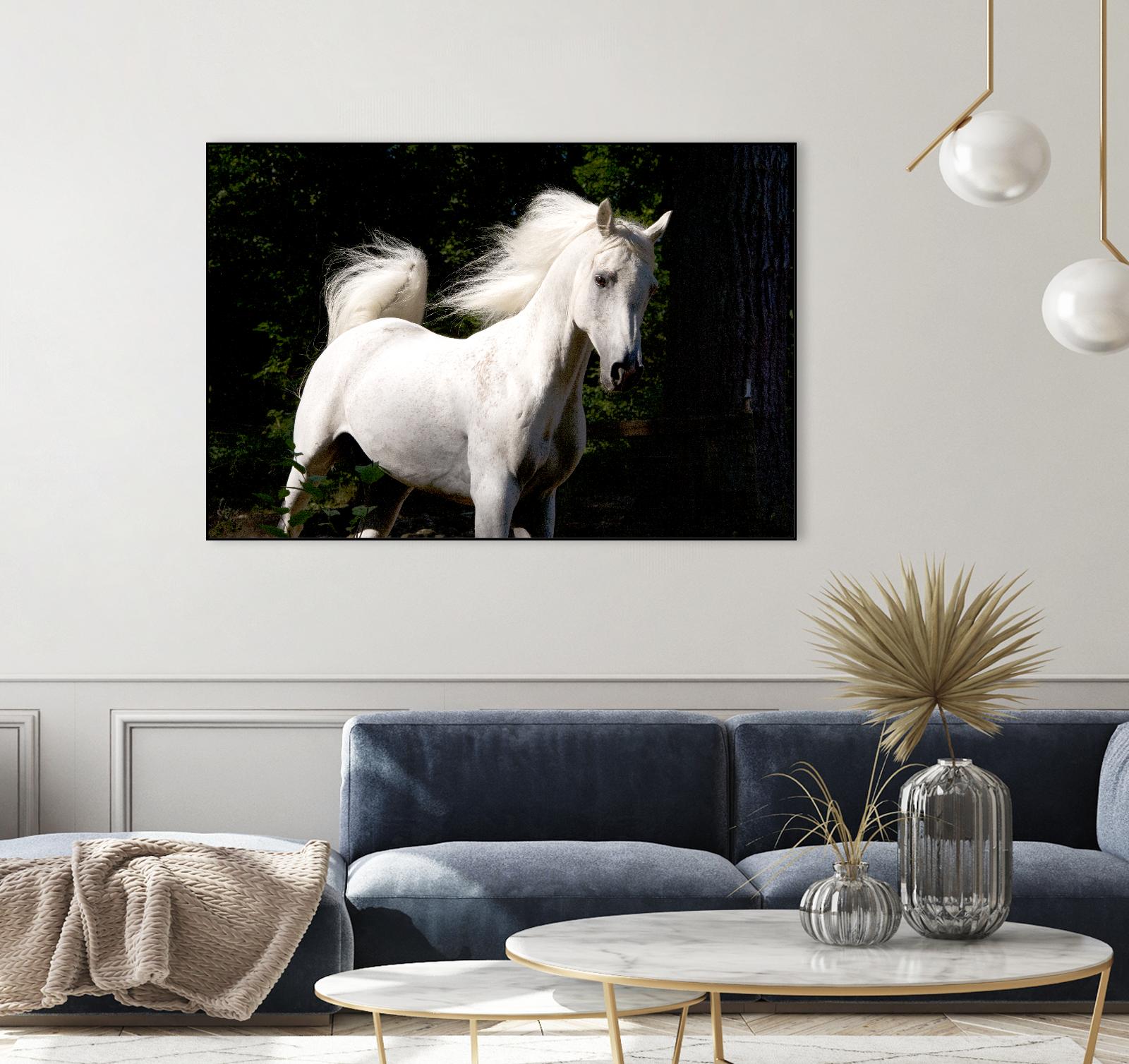 Candle 4 by Patrick Marshall on GIANT ART - black animals