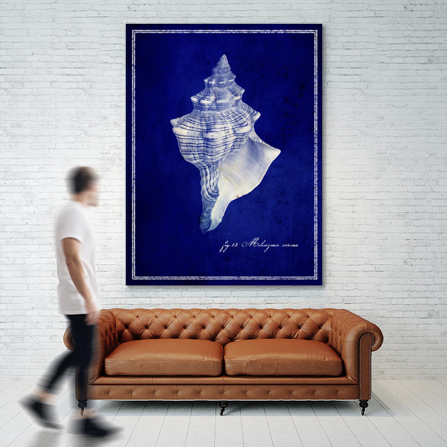 Conch Shell by GI ArtLab on GIANT ART - blue nautical