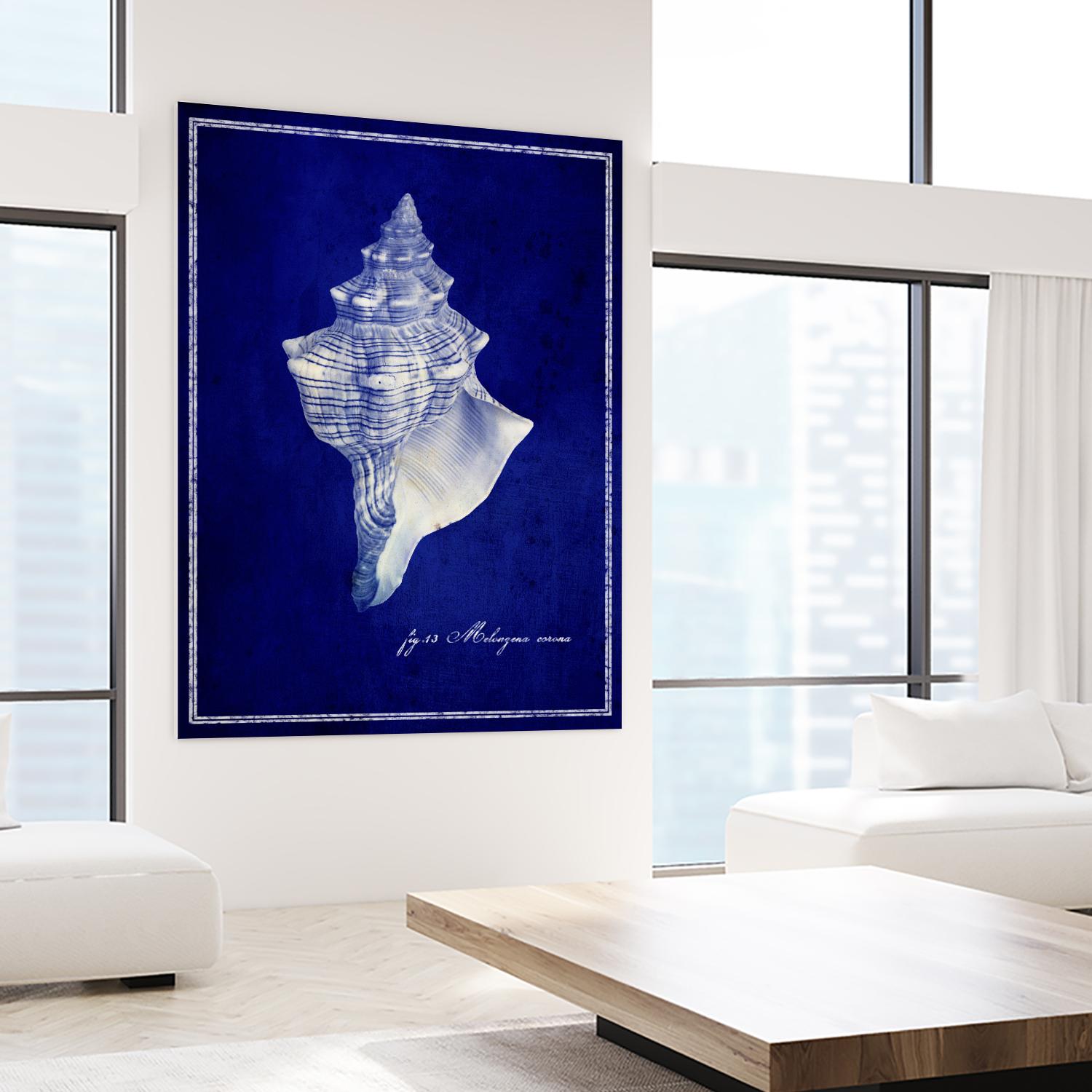 Conch Shell by GI ArtLab on GIANT ART - blue nautical