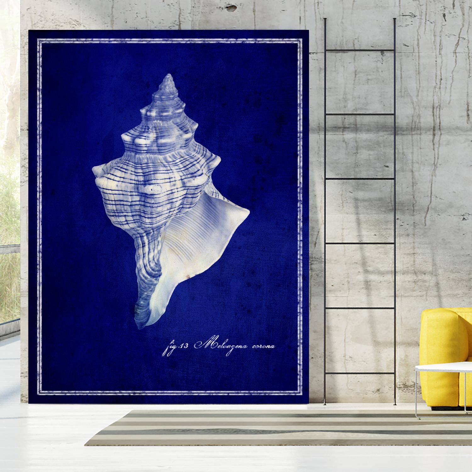 Conch Shell by GI ArtLab on GIANT ART - blue nautical