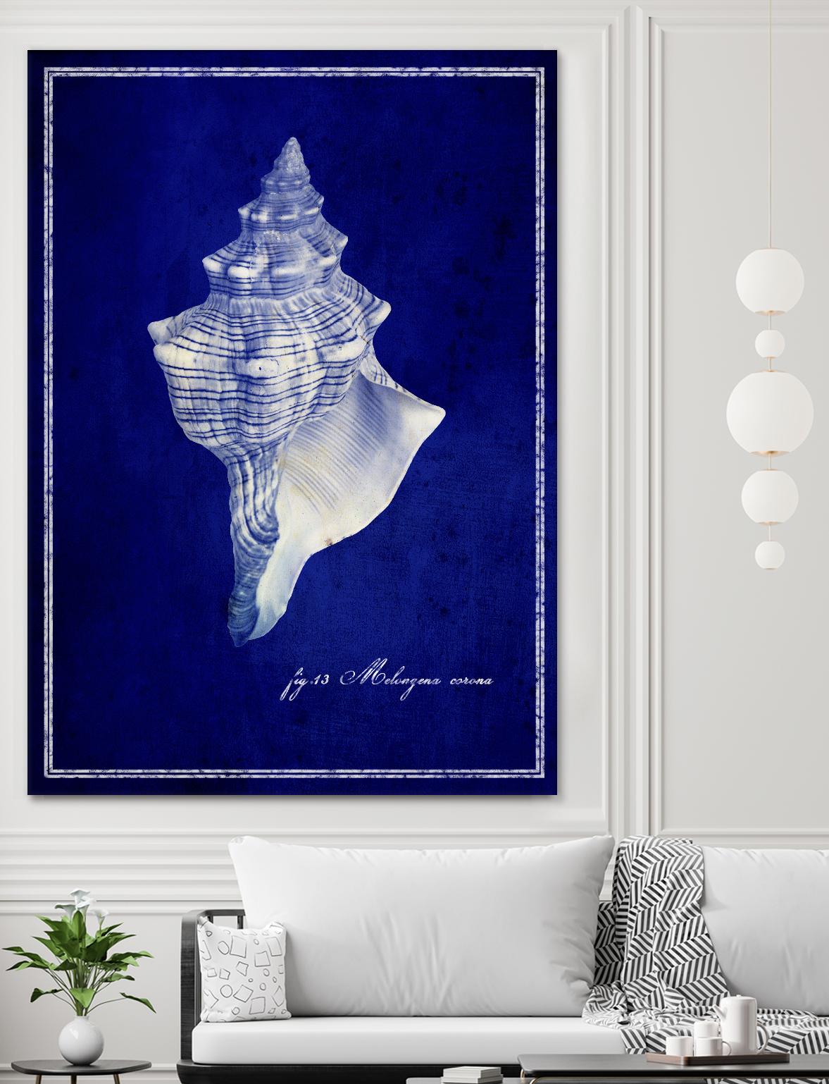 Conch Shell by GI ArtLab on GIANT ART - blue nautical