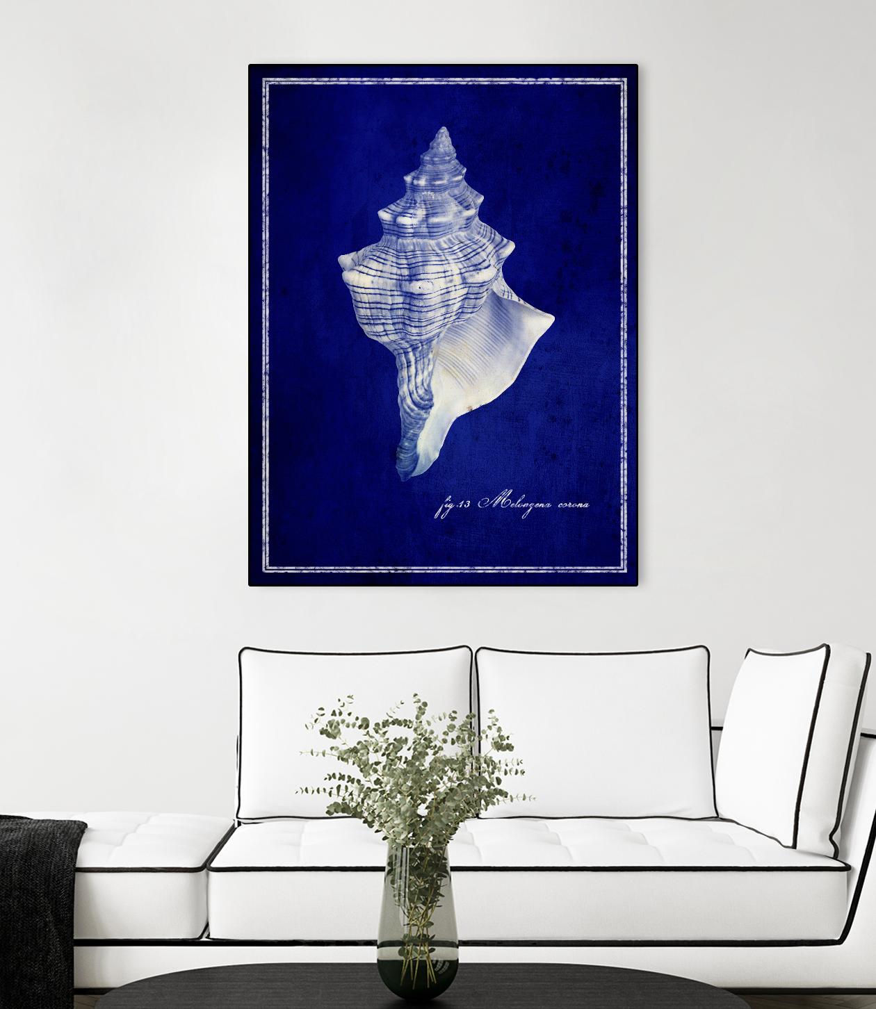 Conch Shell by GI ArtLab on GIANT ART - blue nautical