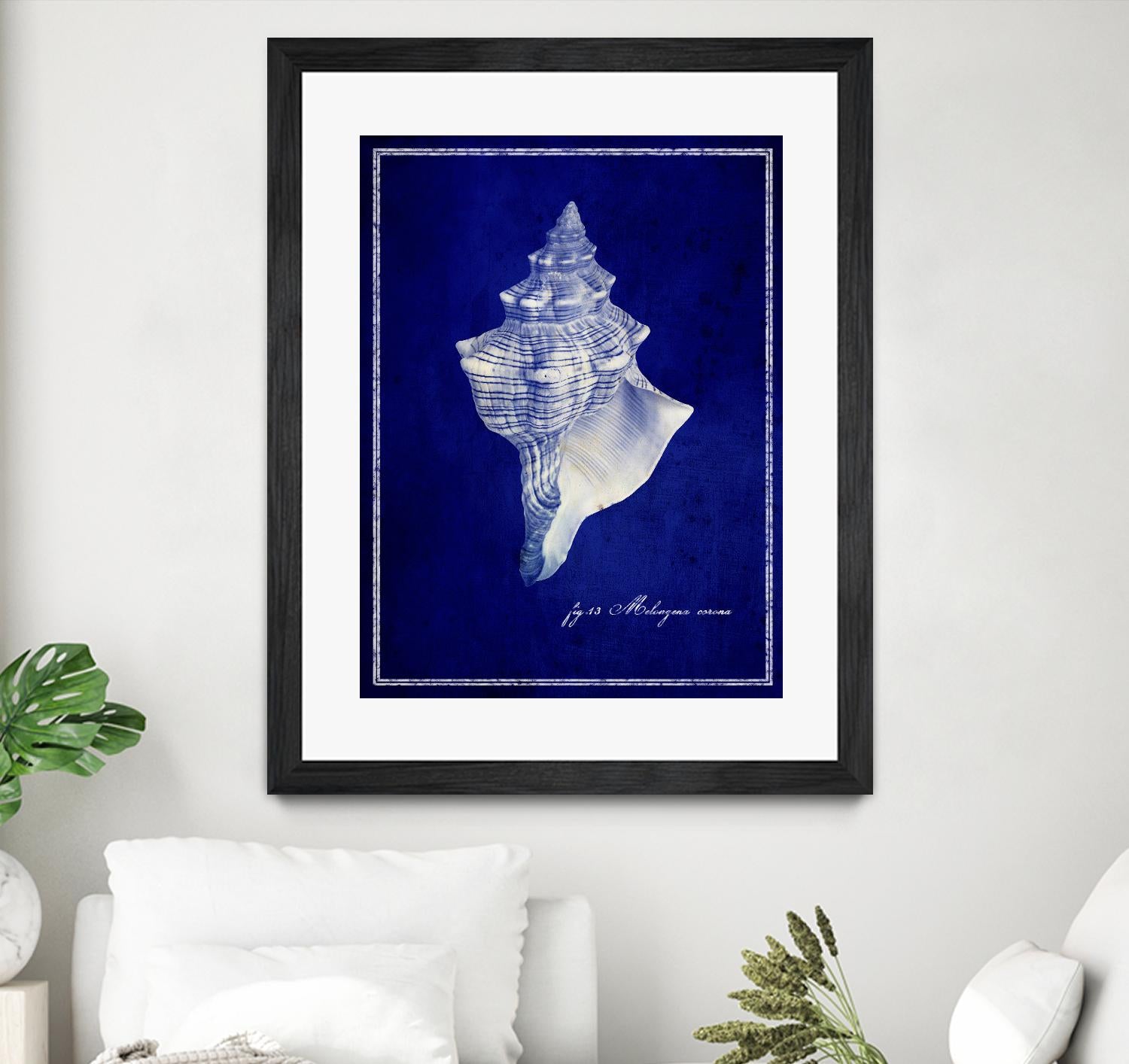 Conch Shell by GI ArtLab on GIANT ART - blue nautical