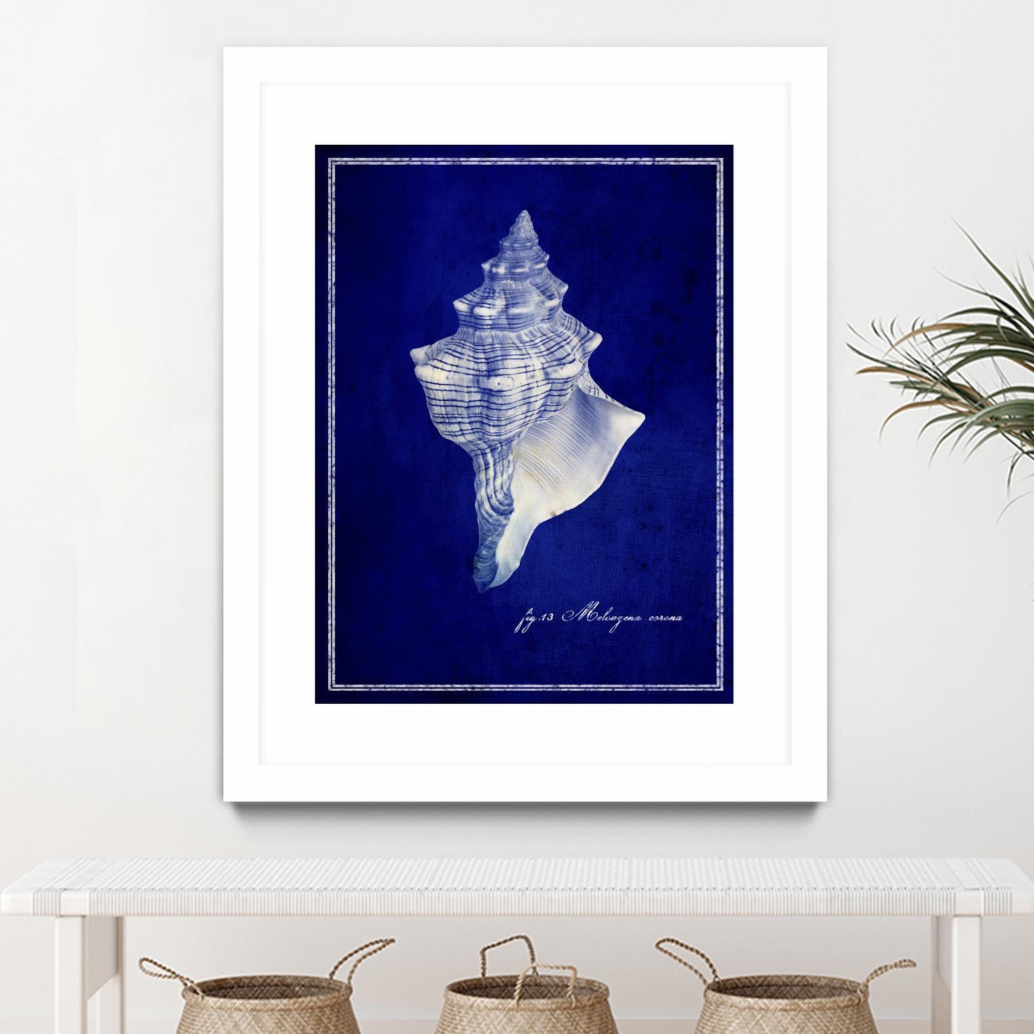 Conch Shell by GI ArtLab on GIANT ART - blue nautical
