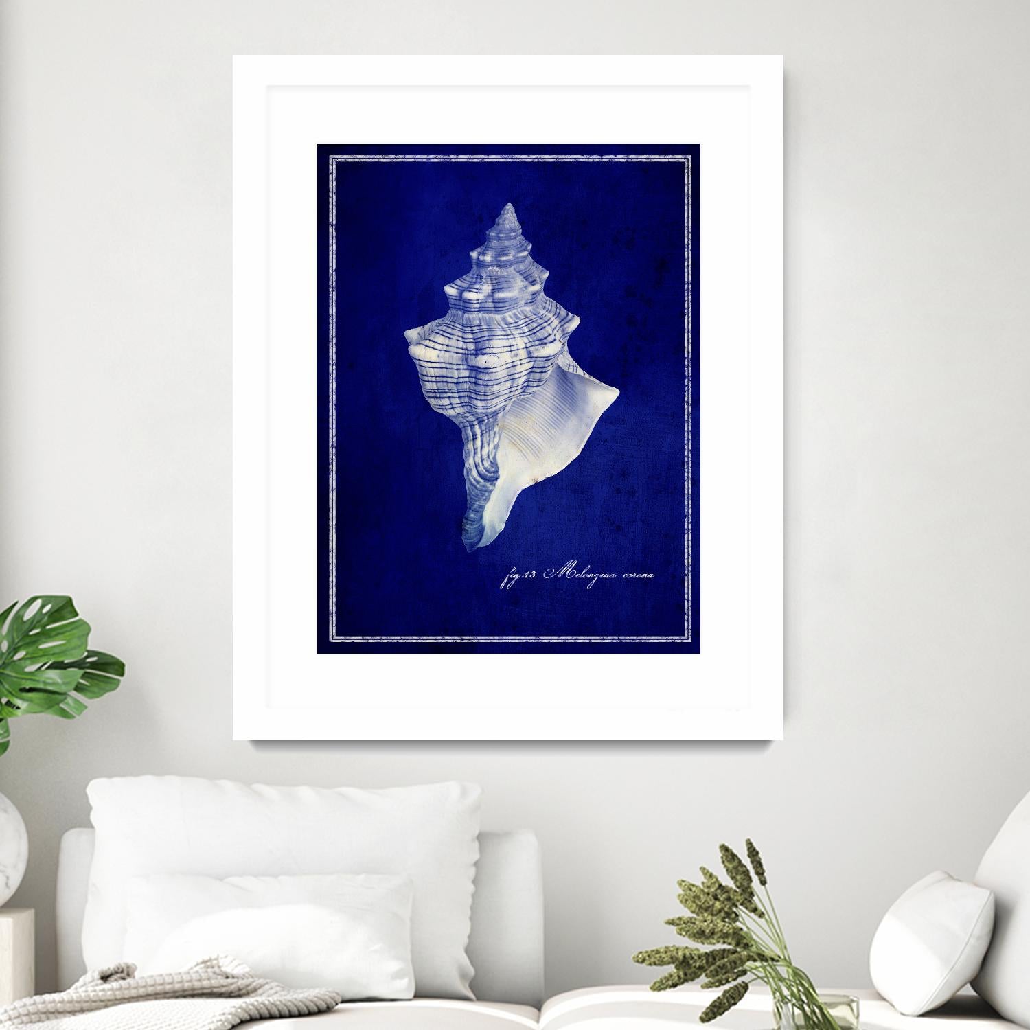 Conch Shell by GI ArtLab on GIANT ART - blue nautical