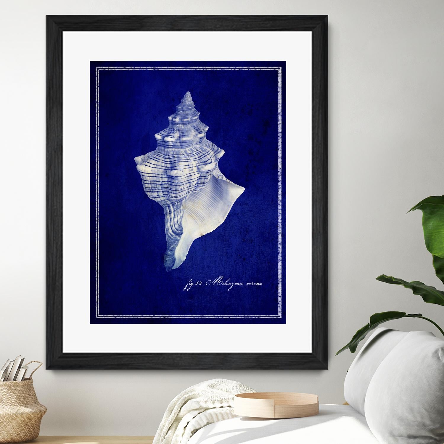 Conch Shell by GI ArtLab on GIANT ART - blue nautical