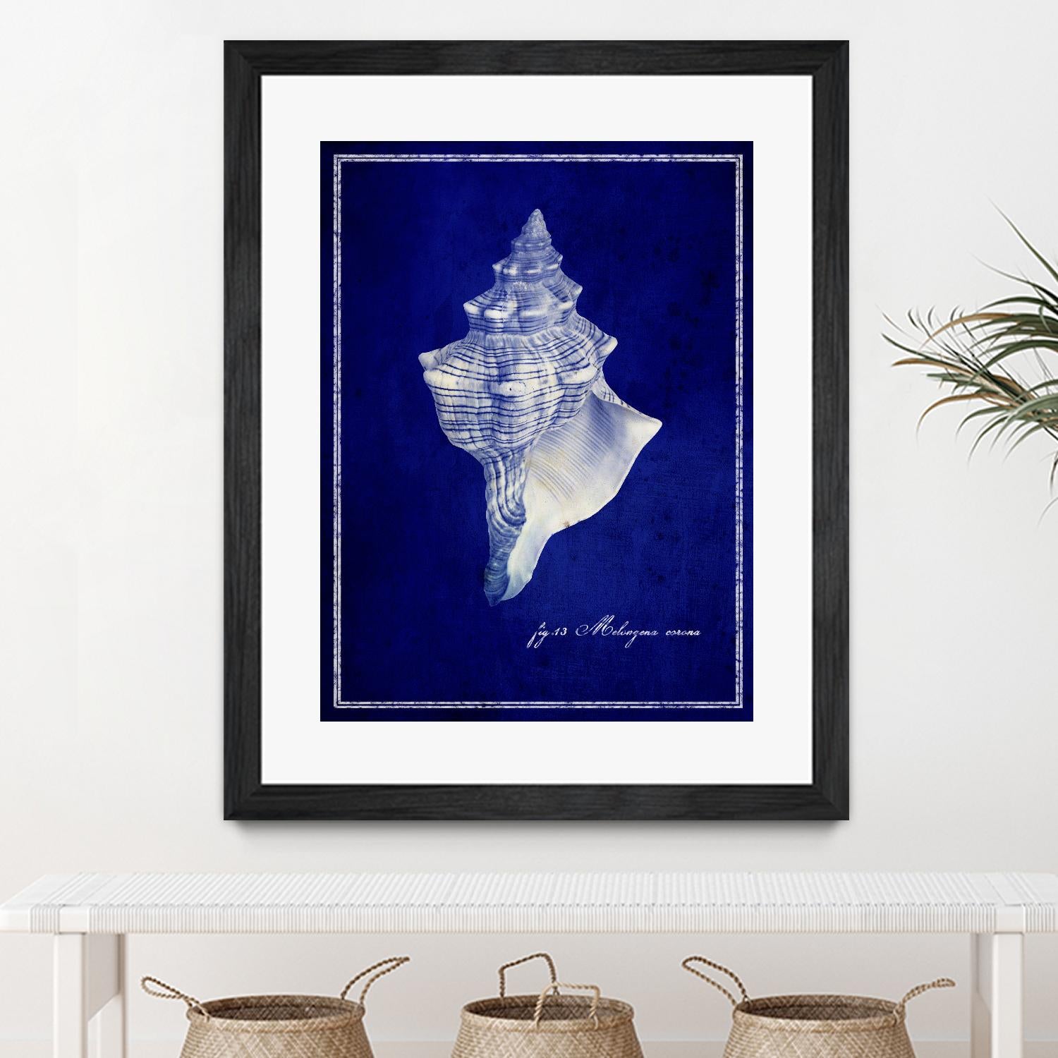 Conch Shell by GI ArtLab on GIANT ART - blue nautical