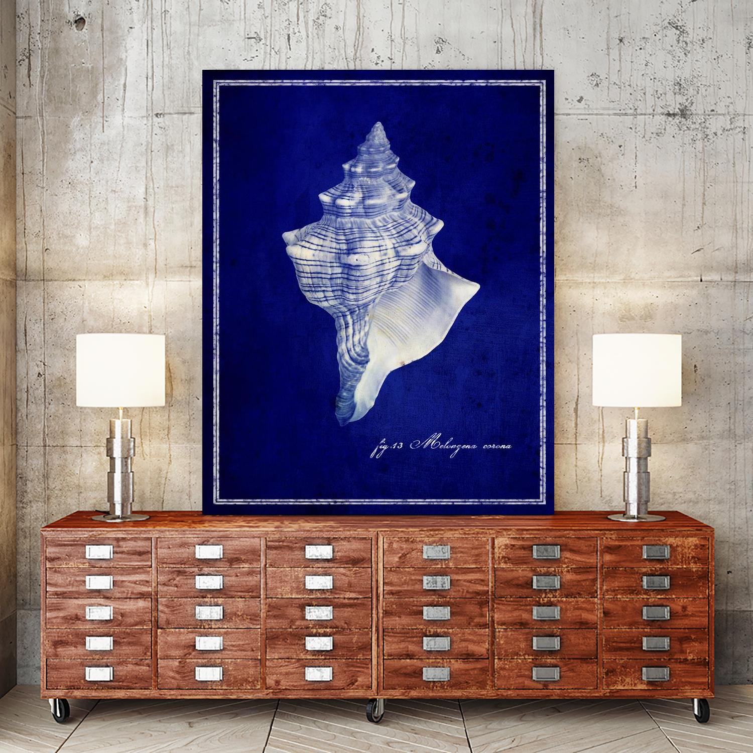 Conch Shell by GI ArtLab on GIANT ART - blue nautical