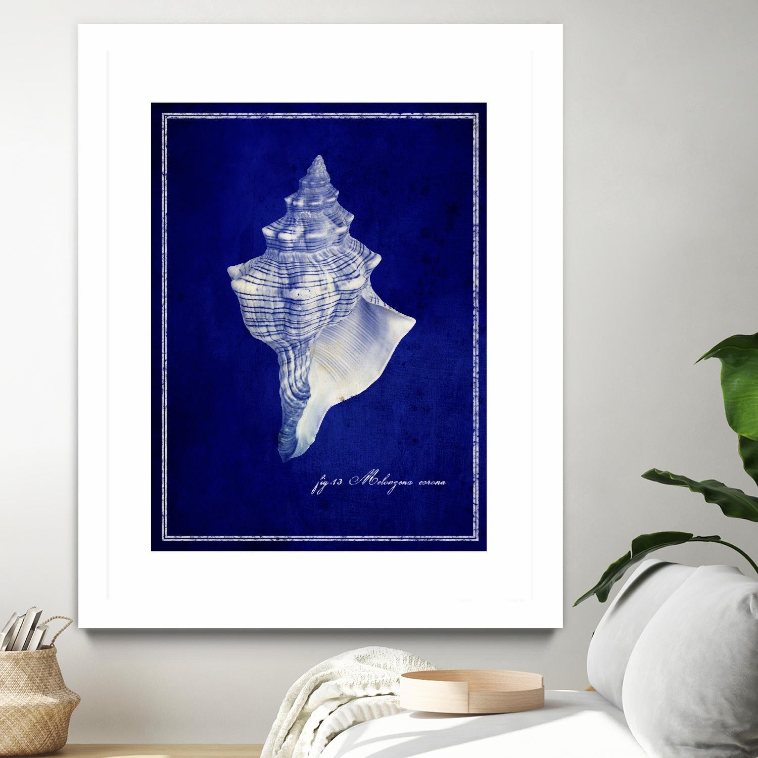 Conch Shell by GI ArtLab on GIANT ART - blue nautical